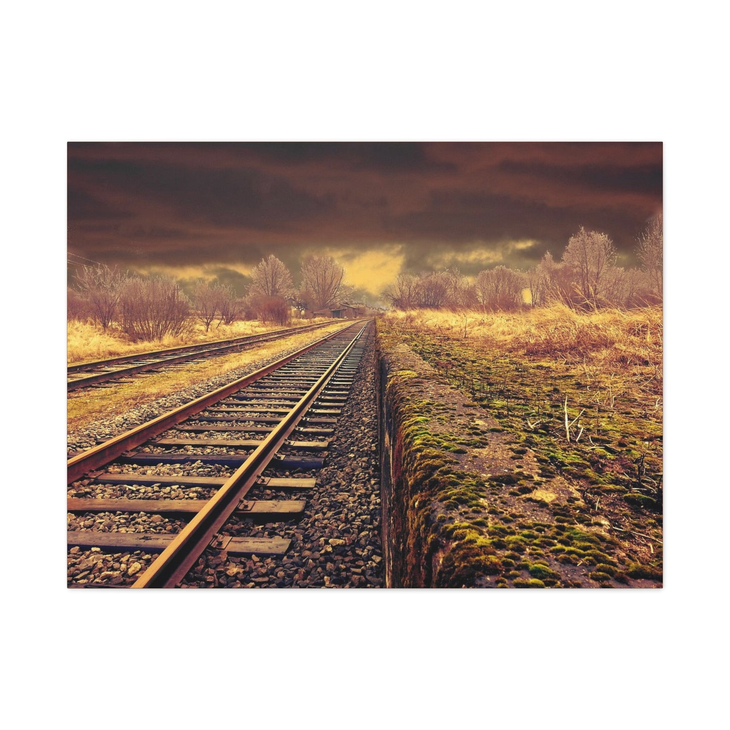 Tracks Matte Canvas, Stretched, 1.25"