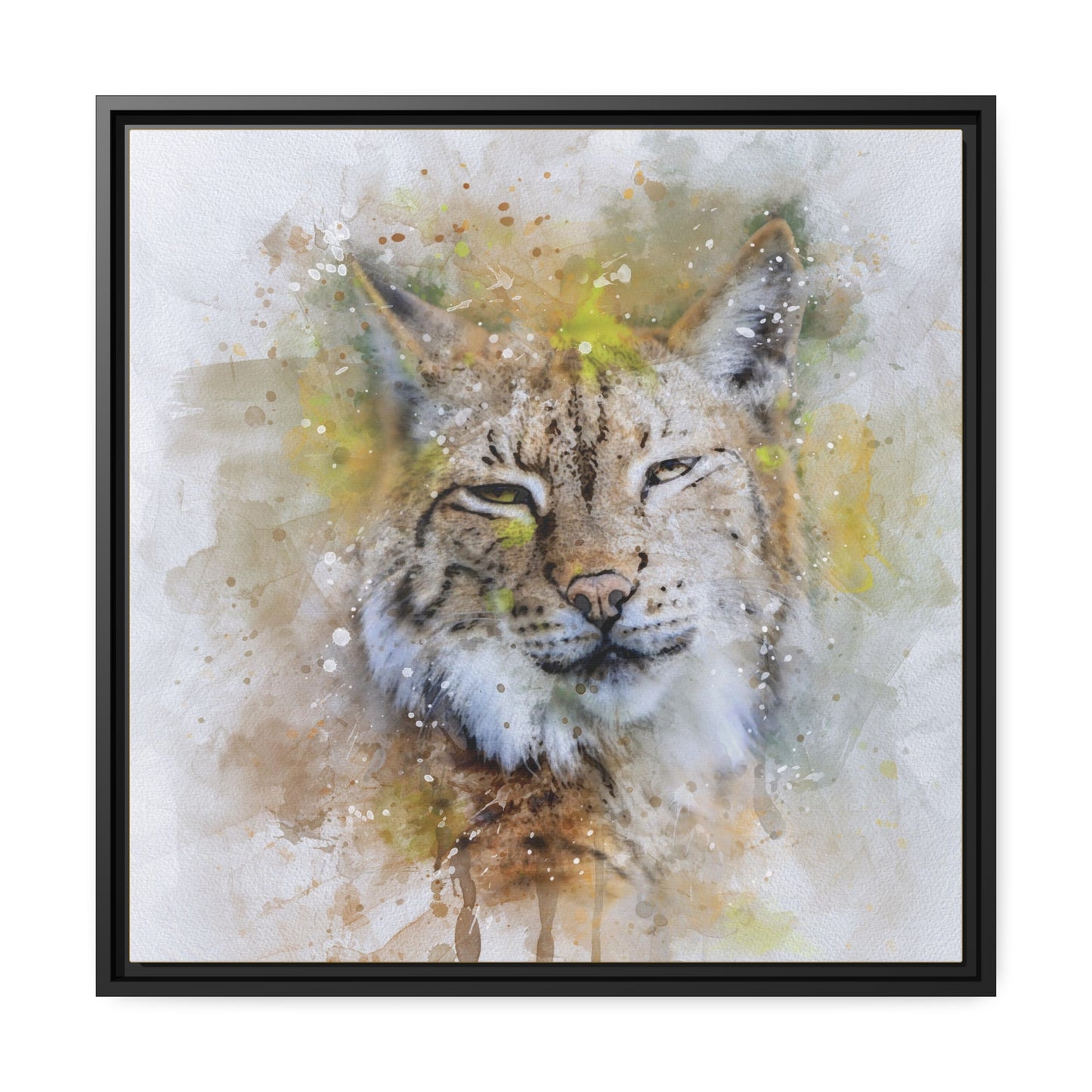 Bobcat Matte Canvas, Black Frame