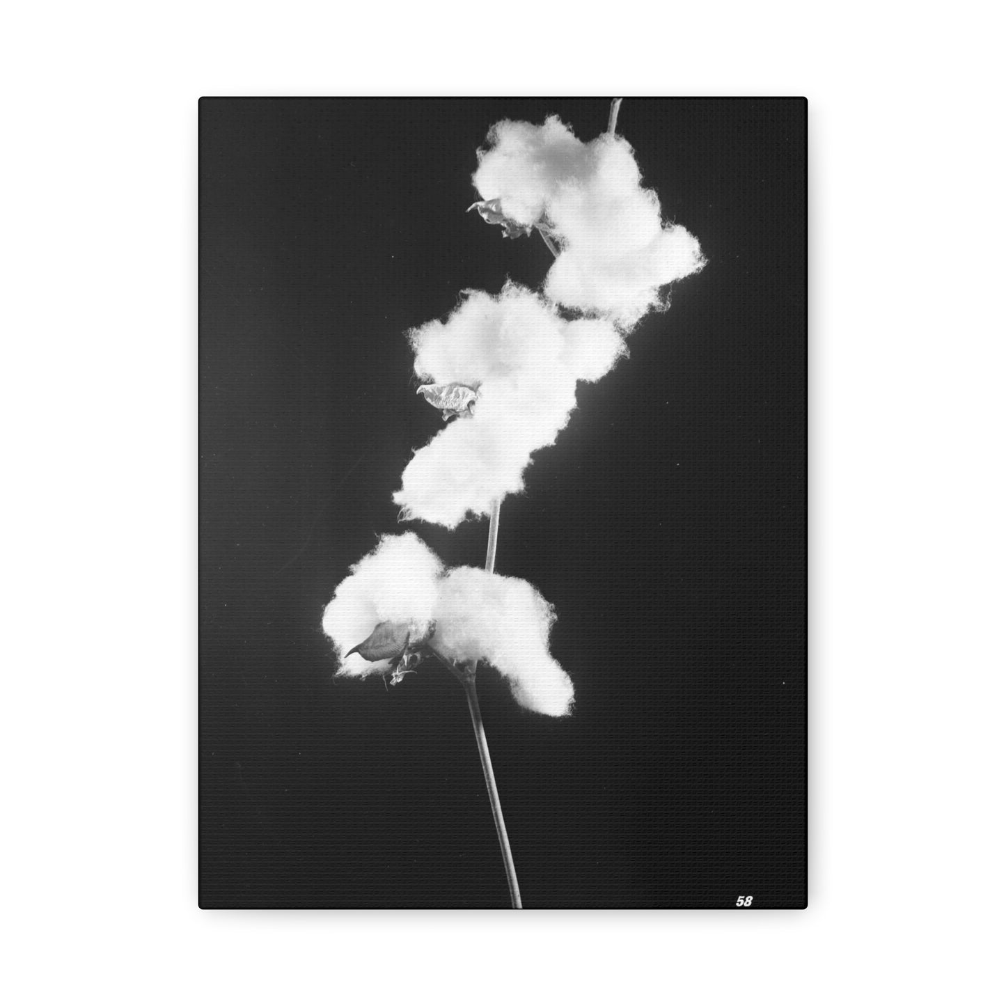 Cotton Matte Canvas, Stretched, 1.25"