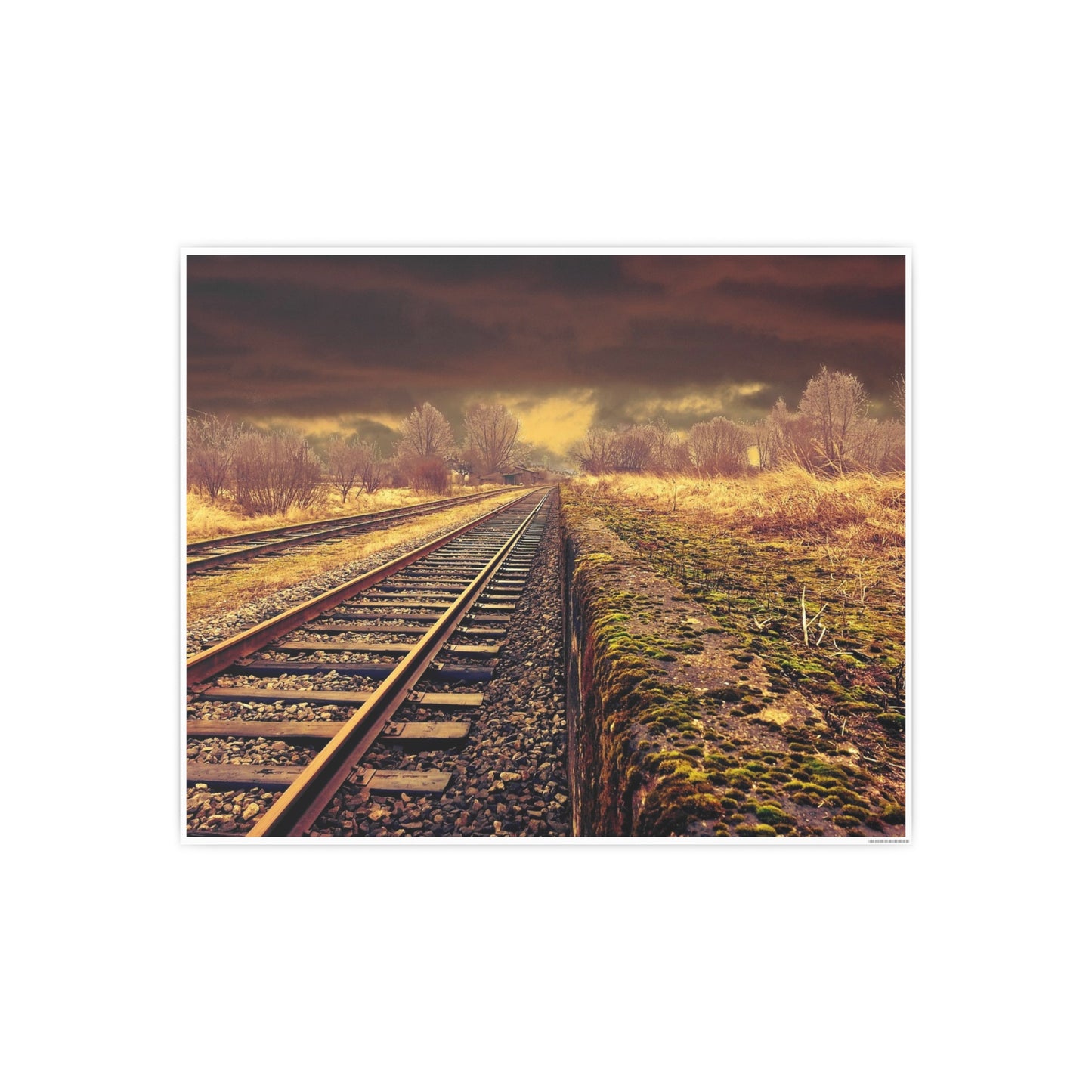 Tracks Photo Art Paper Posters