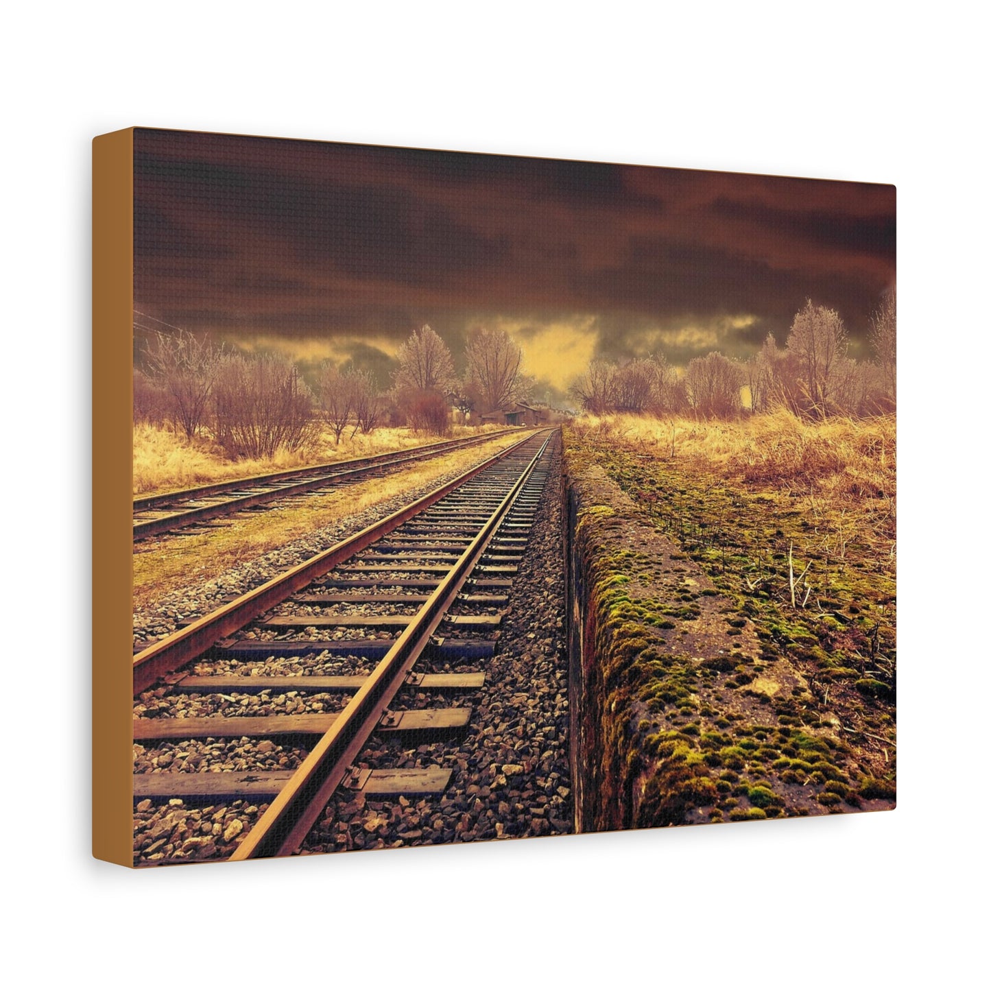 Tracks Matte Canvas, Stretched, 1.25"