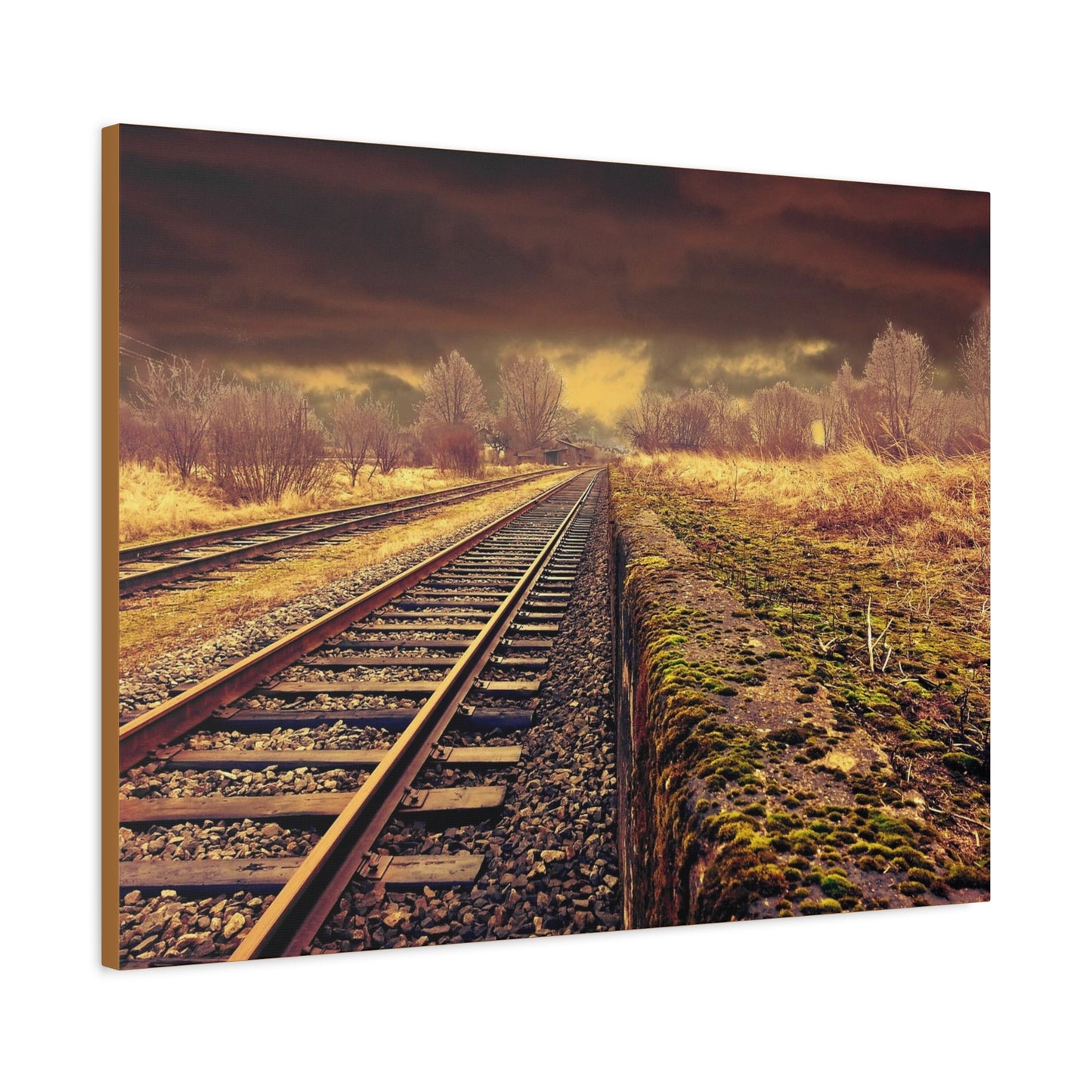 Tracks Matte Canvas, Stretched, 1.25"