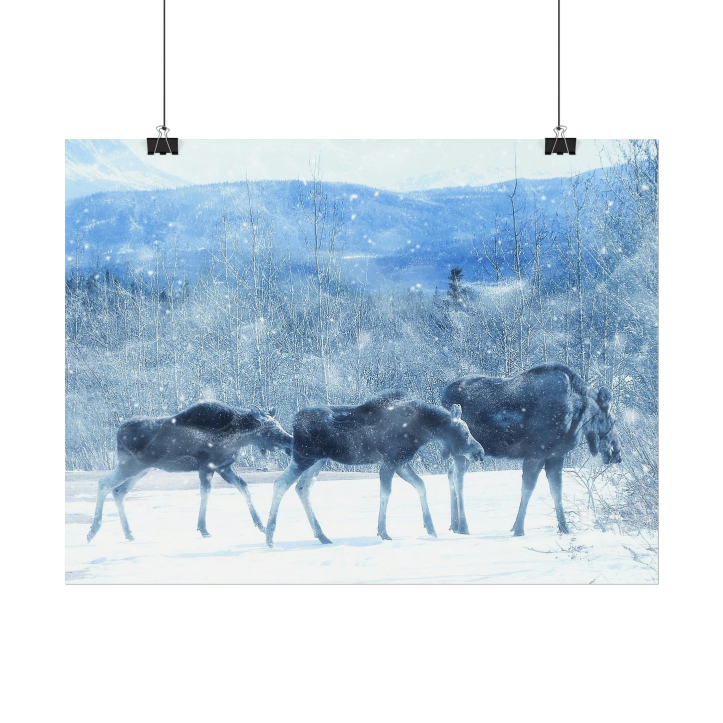 Moose Rolled Posters