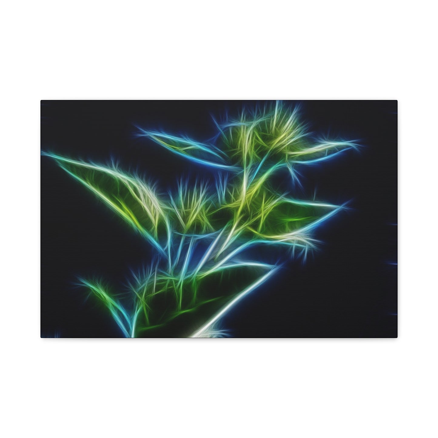 Flowers Matte Canvas, Stretched, 1.25"