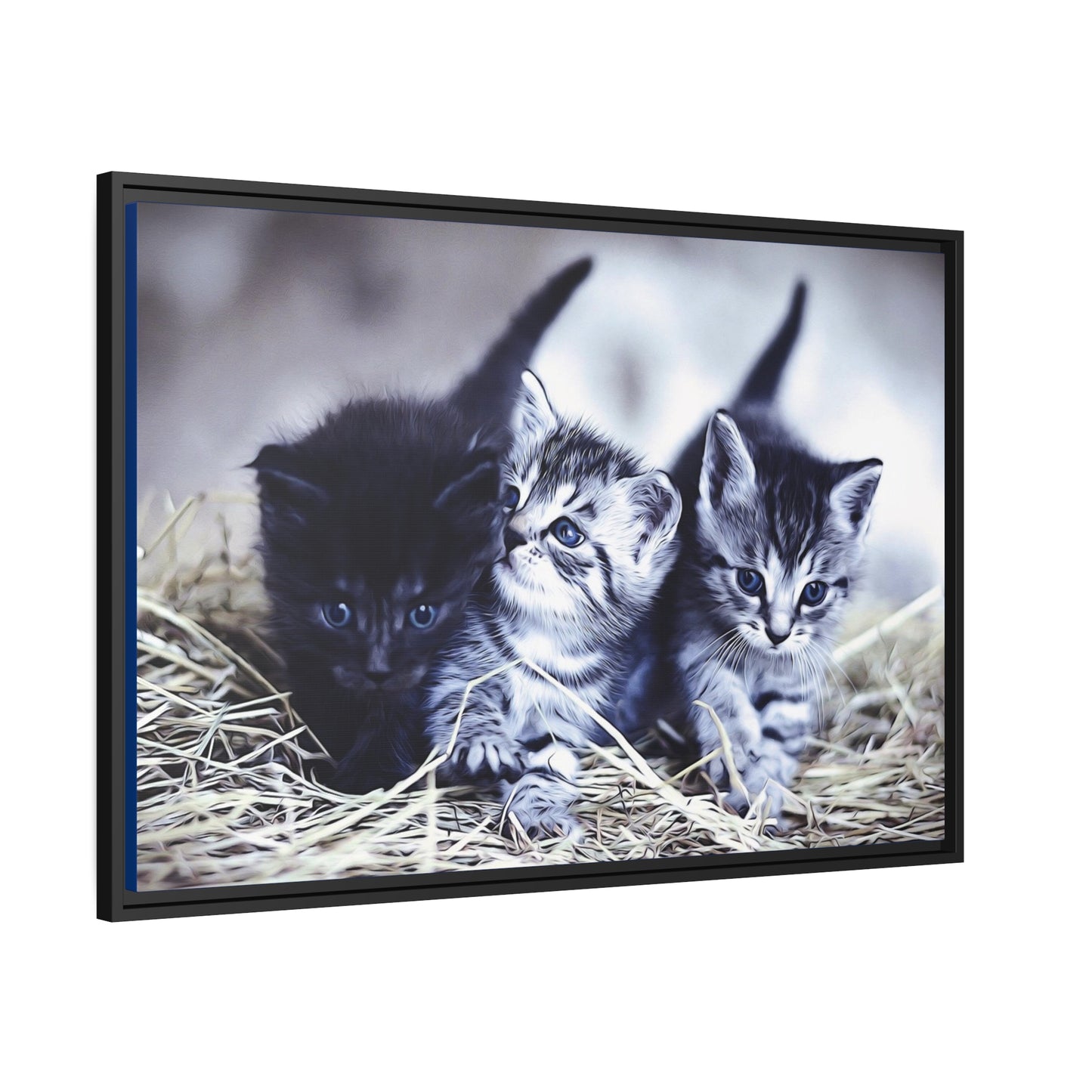 Kitten Matte Canvas, Black Frame