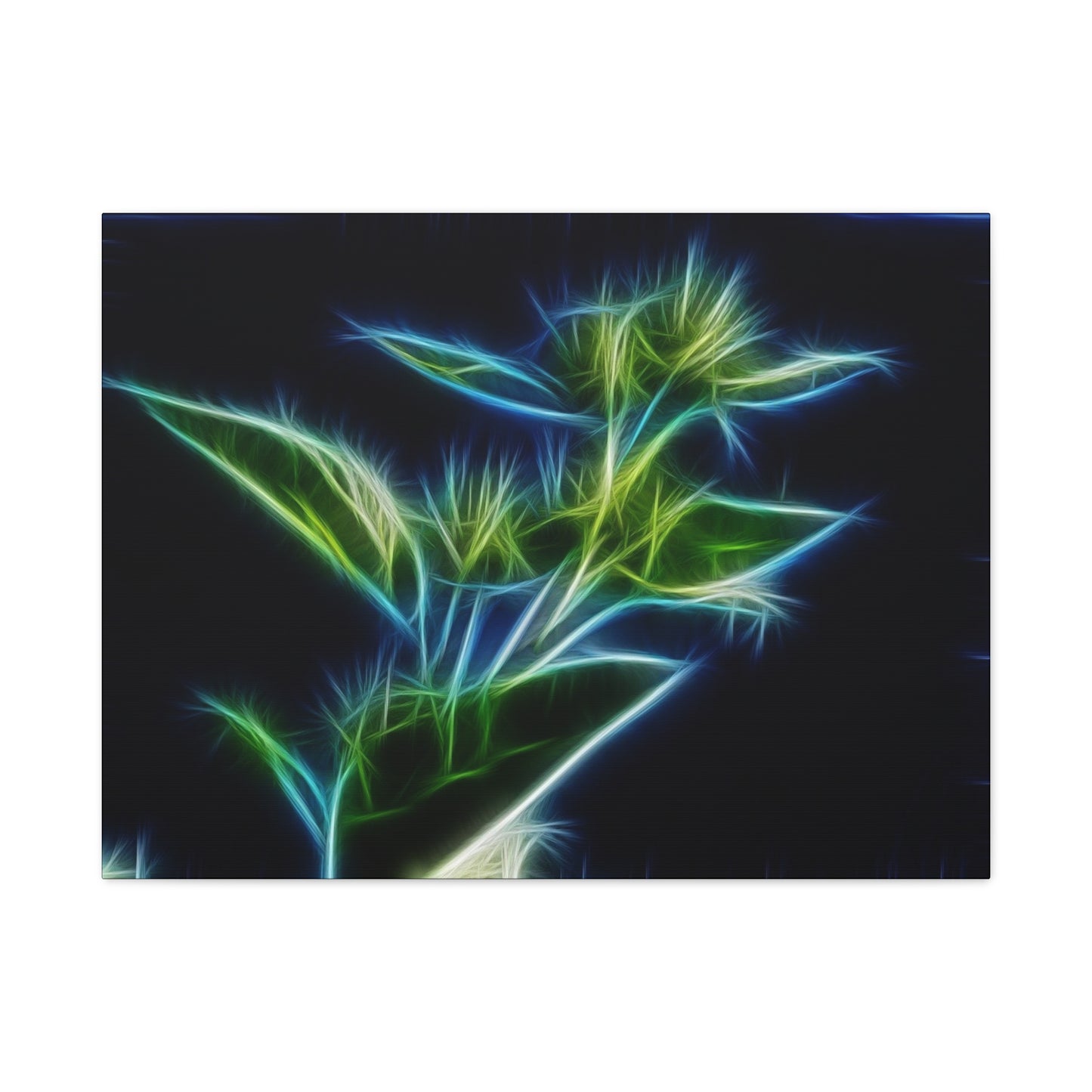 Flowers Matte Canvas, Stretched, 1.25"