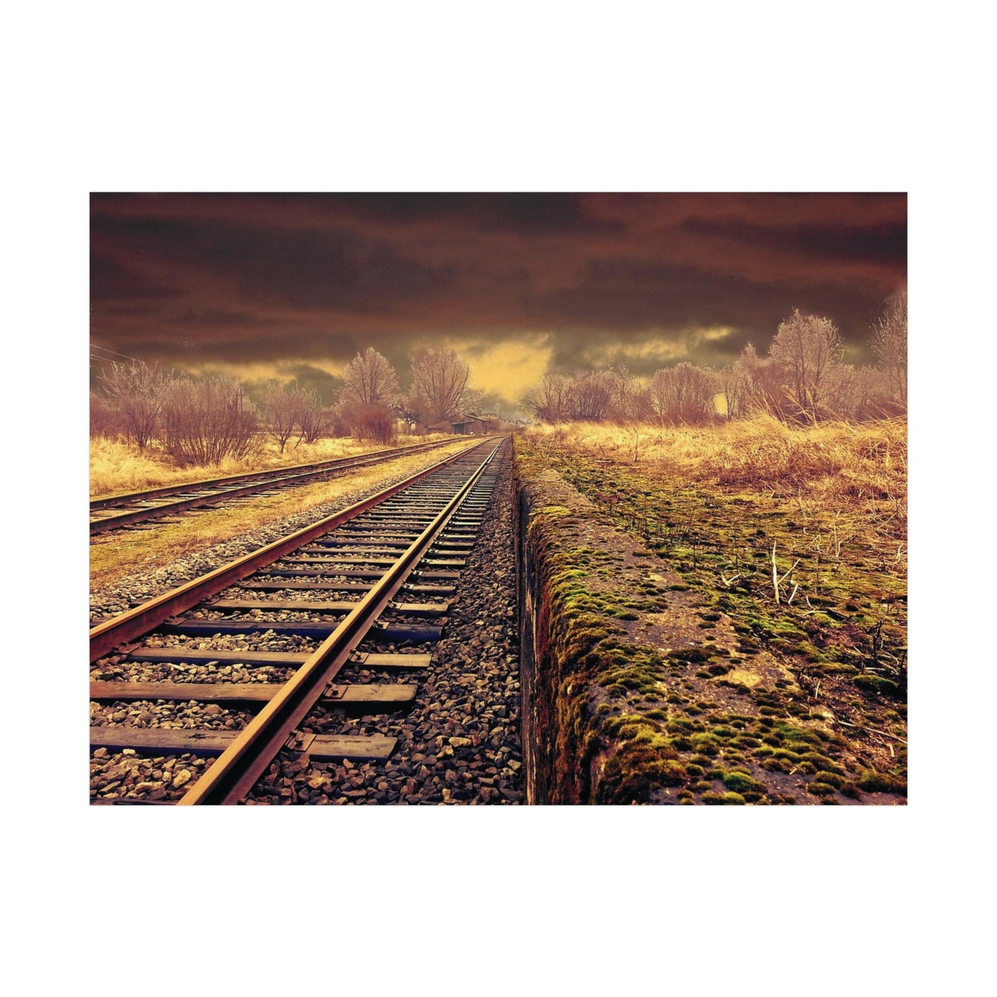 Tracks Rolled Posters