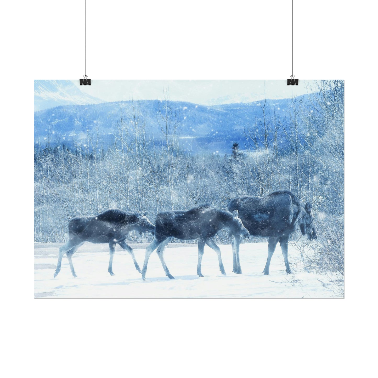 Moose Rolled Posters
