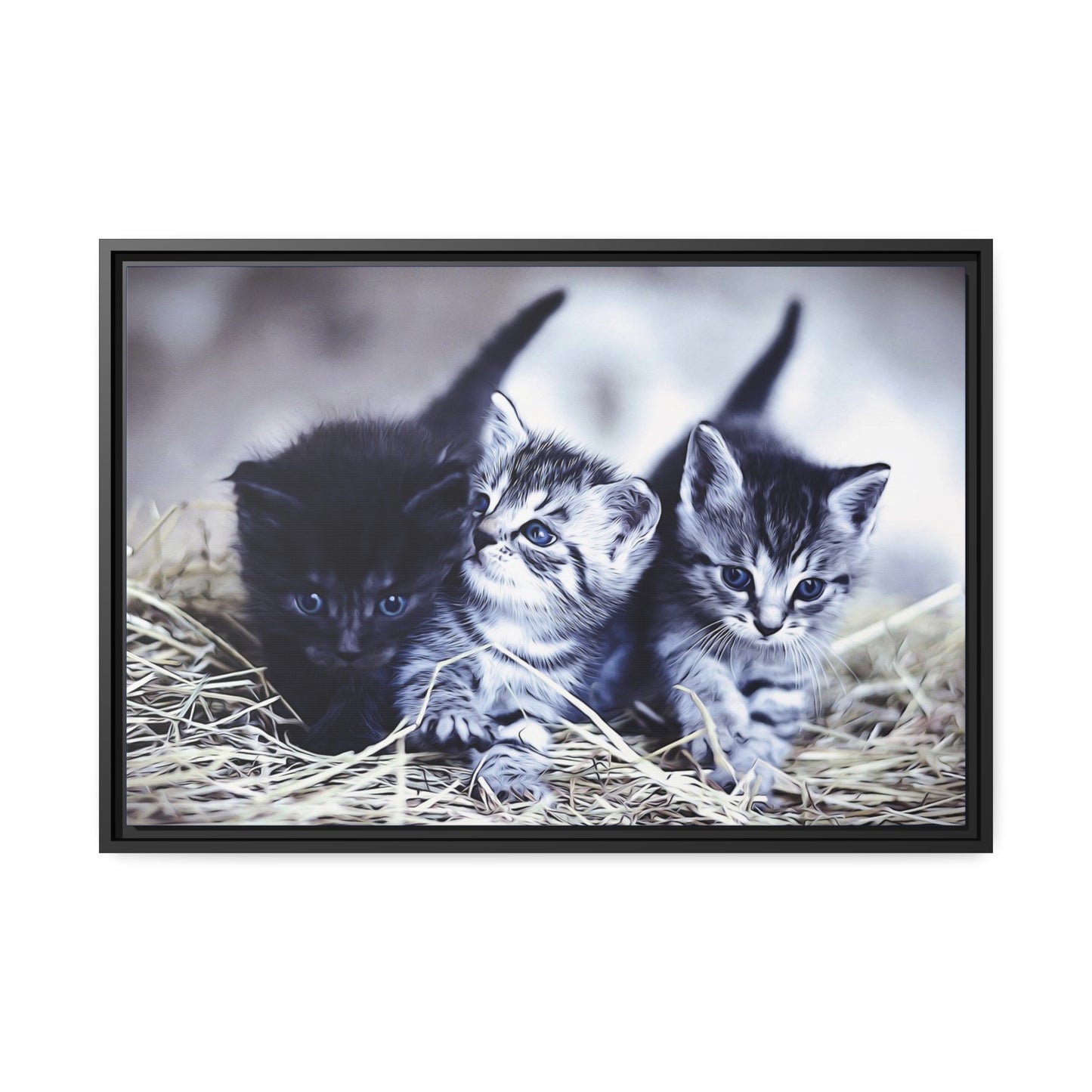 Kitten Matte Canvas, Black Frame