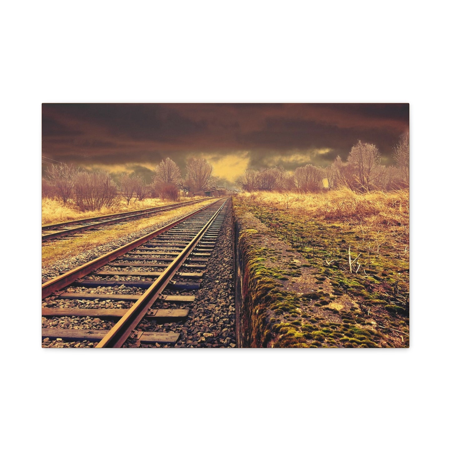 Tracks Matte Canvas, Stretched, 1.25"