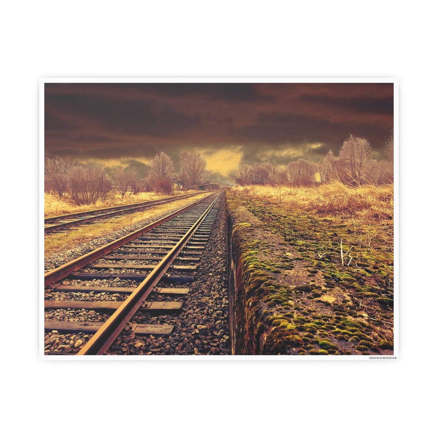 Tracks Photo Art Paper Posters