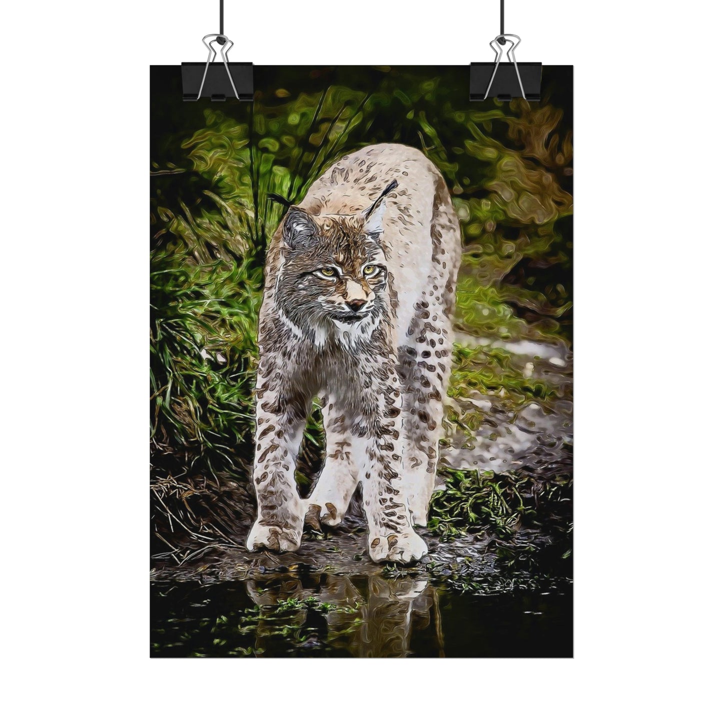 Bobcat Rolled Posters