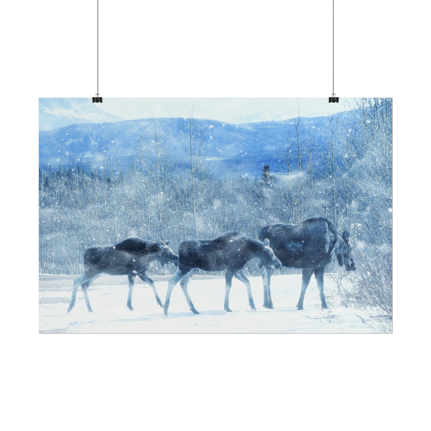 Moose Rolled Posters