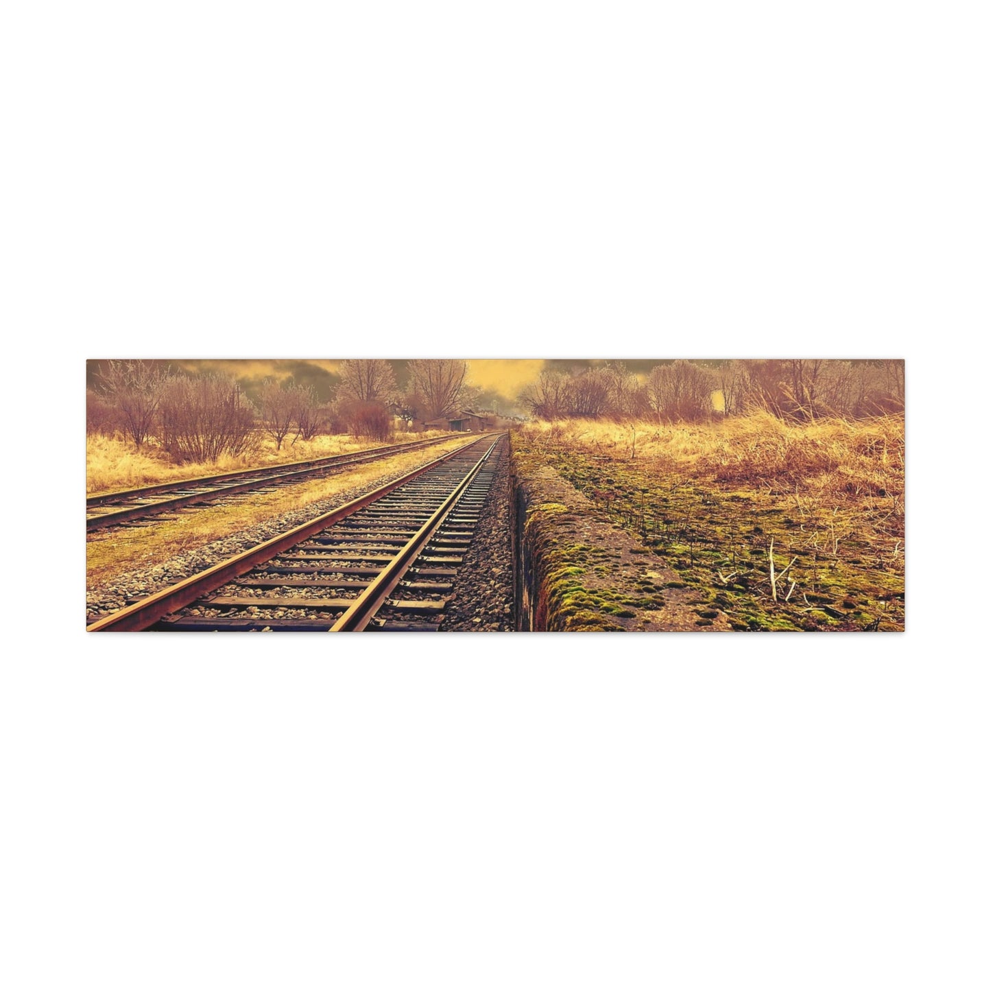 Tracks Matte Canvas, Stretched, 1.25"