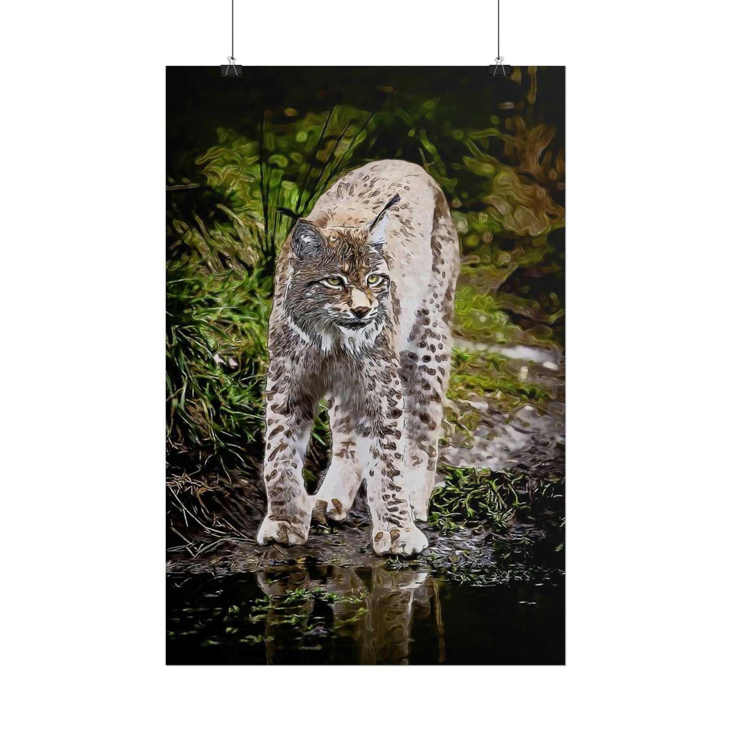 Bobcat Rolled Posters