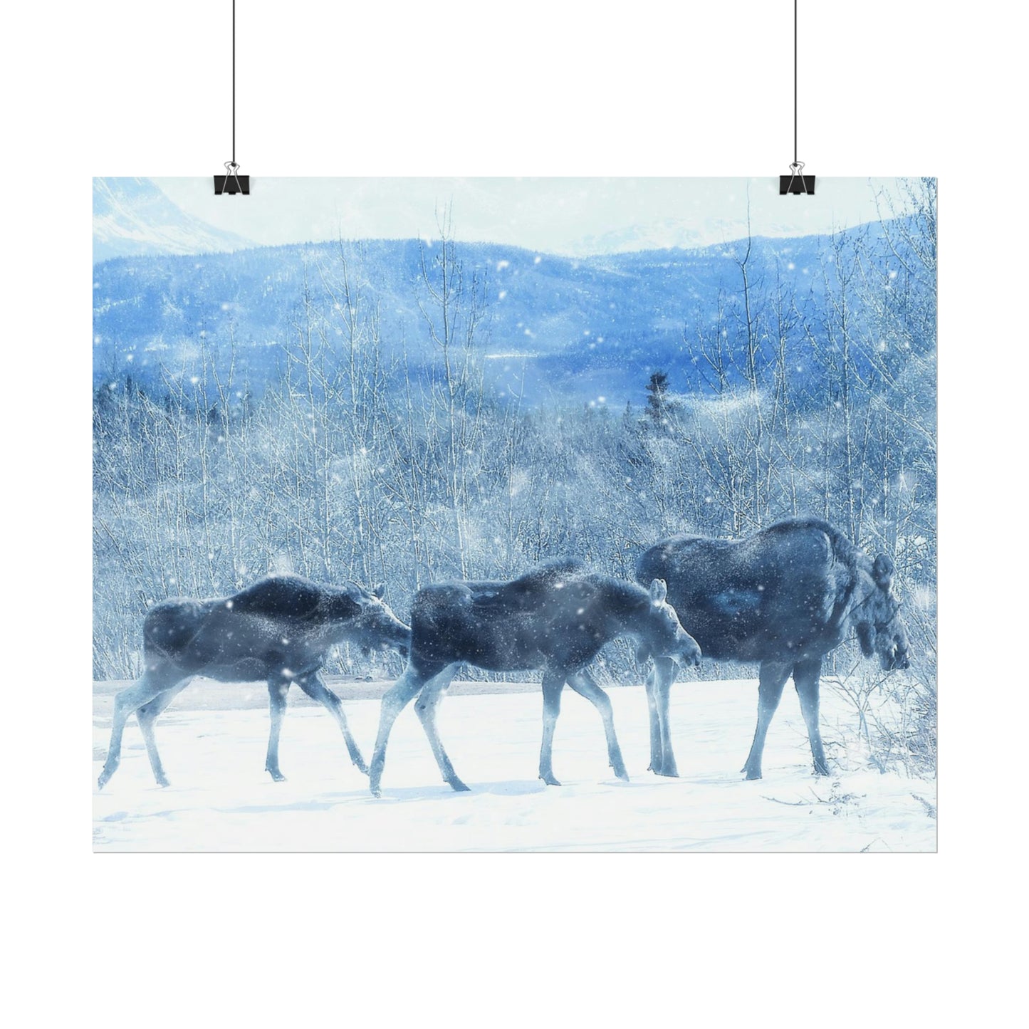 Moose Rolled Posters