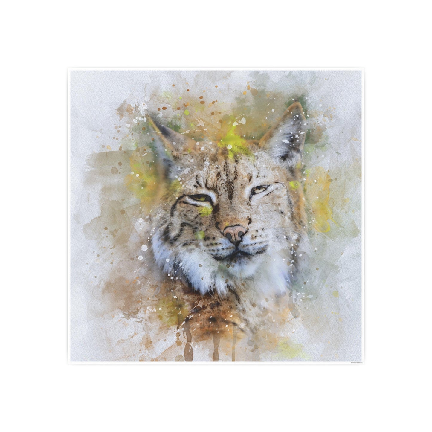 Bobcat Photo Art Paper Posters