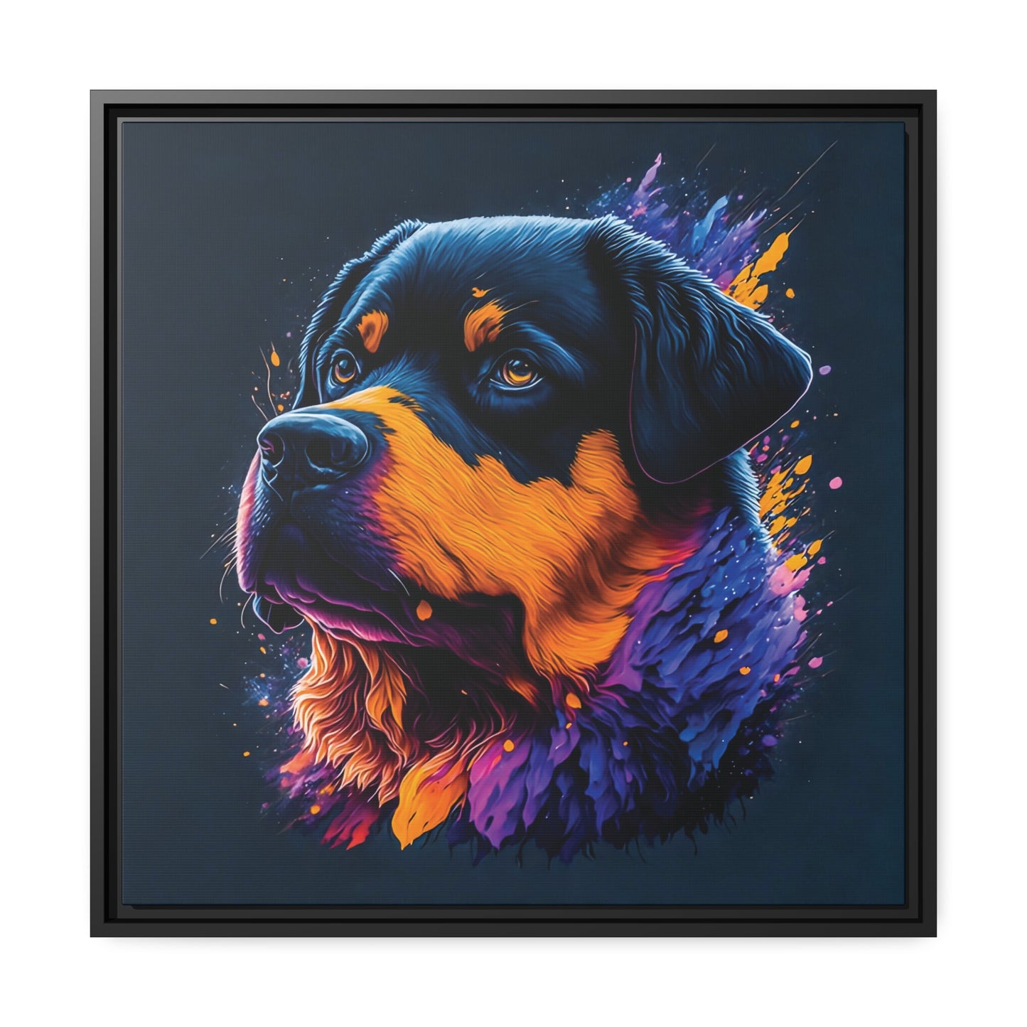 Rottweiler Matte Canvas, Black Frame