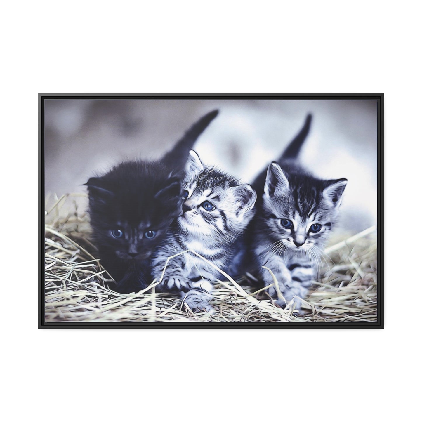 Kitten Matte Canvas, Black Frame