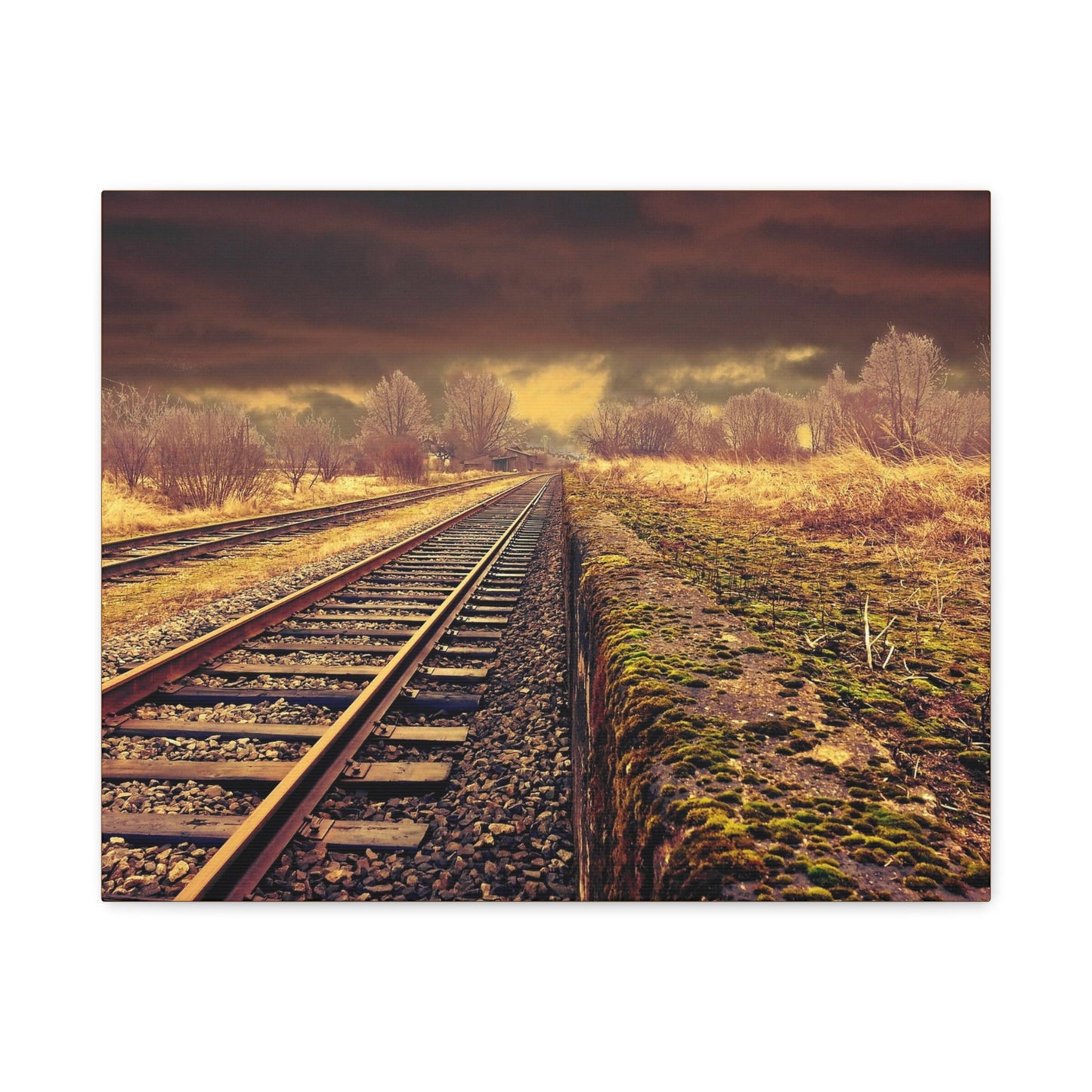 Tracks Matte Canvas, Stretched, 1.25"