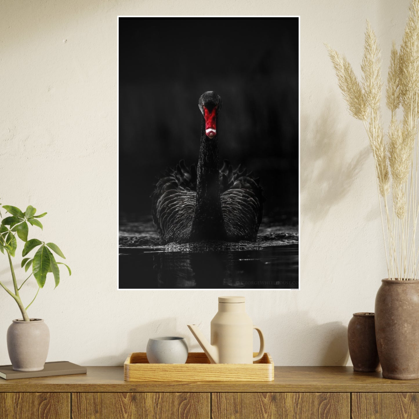 Black Swan Photo Art Paper Posters
