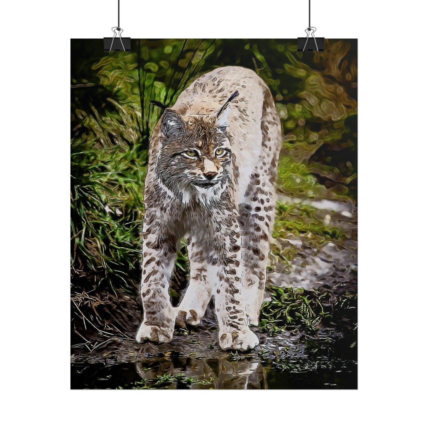 Bobcat Rolled Posters