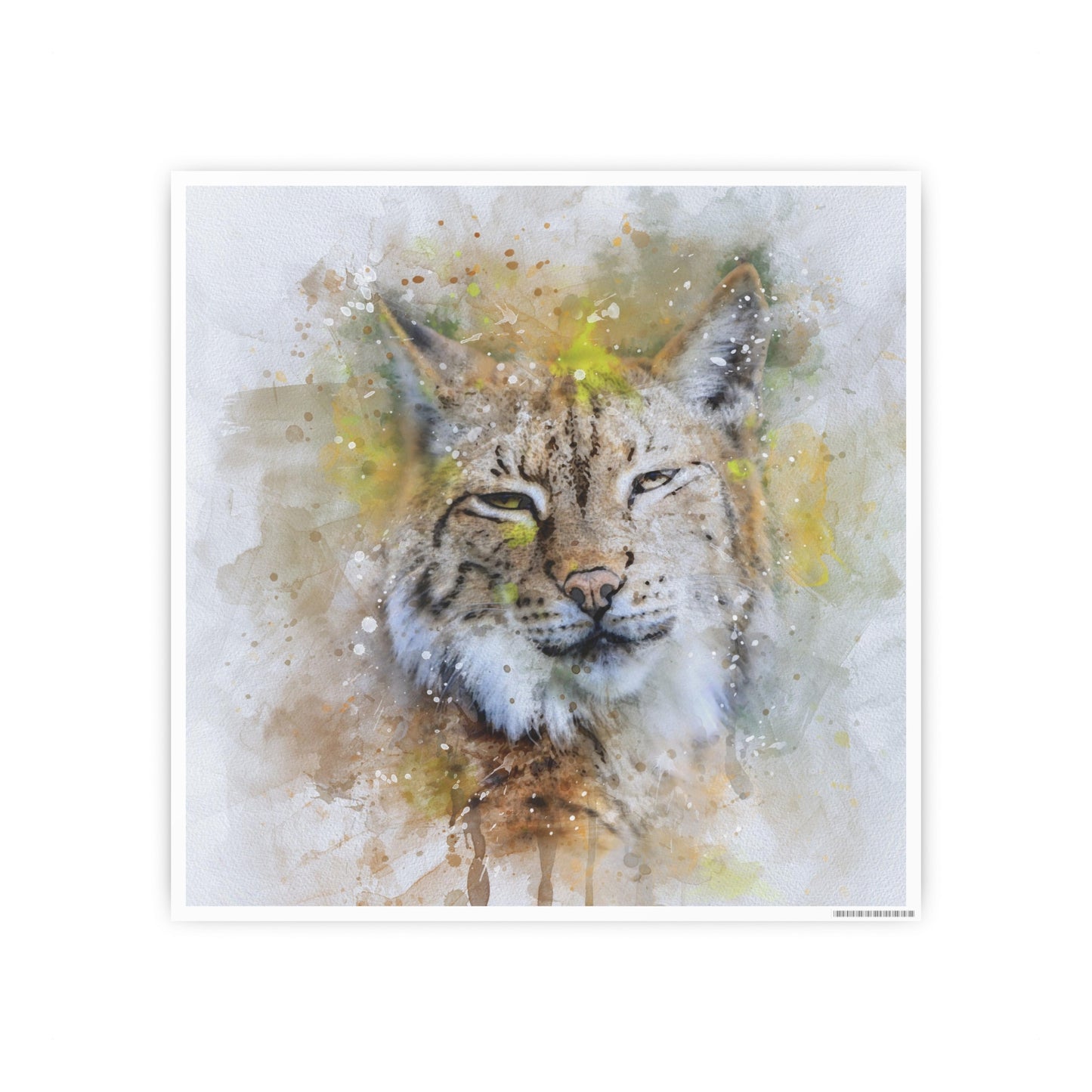 Bobcat Photo Art Paper Posters