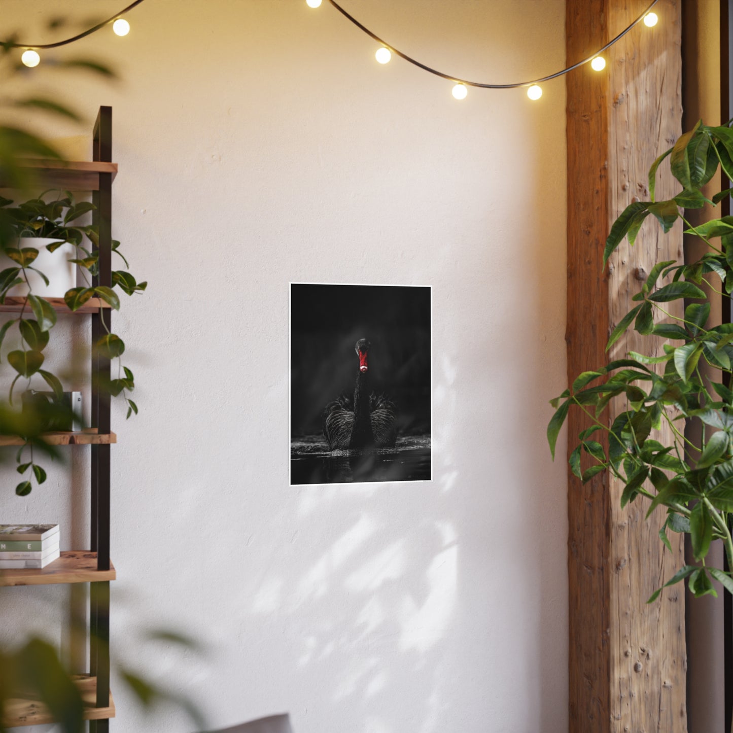 Black Swan Photo Art Paper Posters