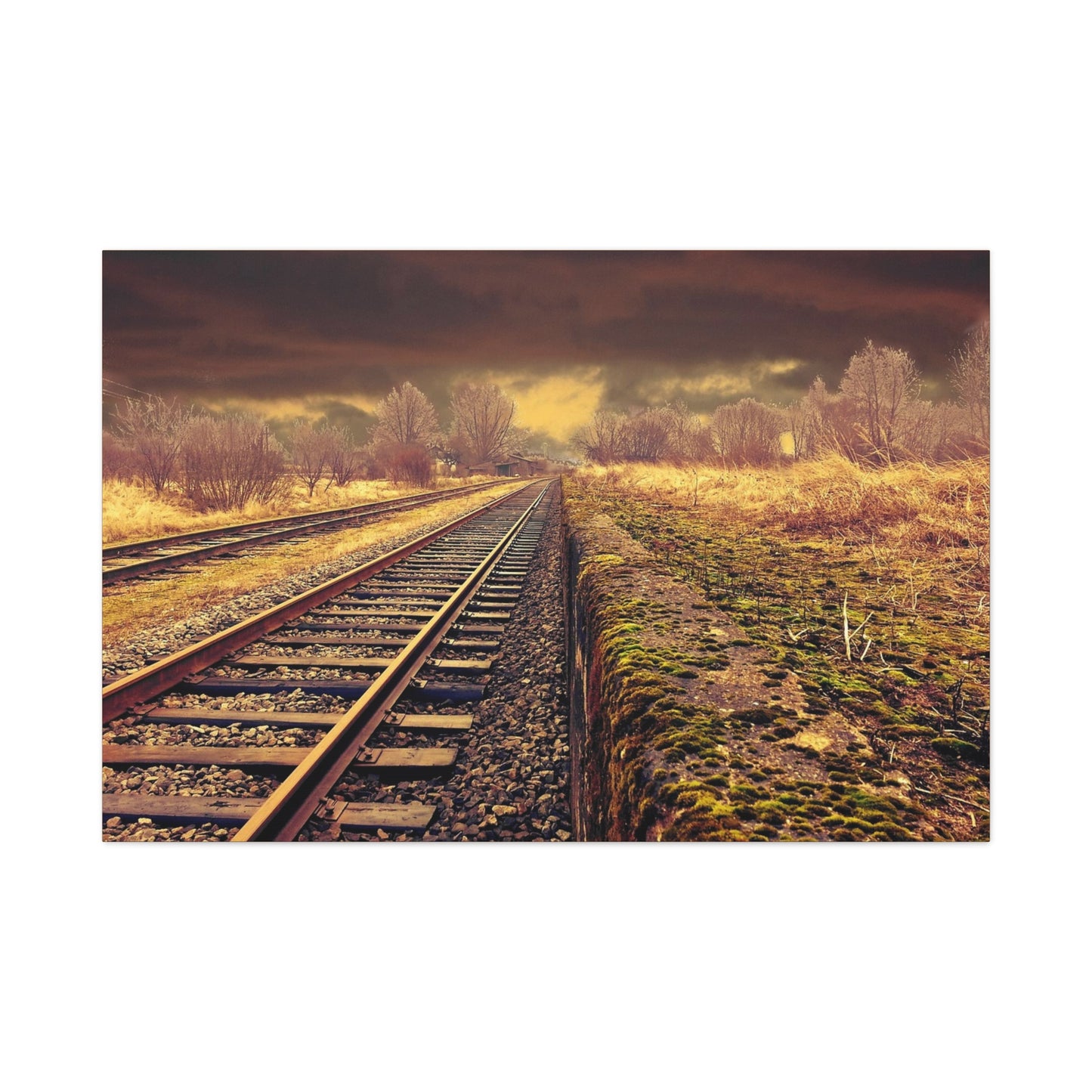 Tracks Matte Canvas, Stretched, 1.25"