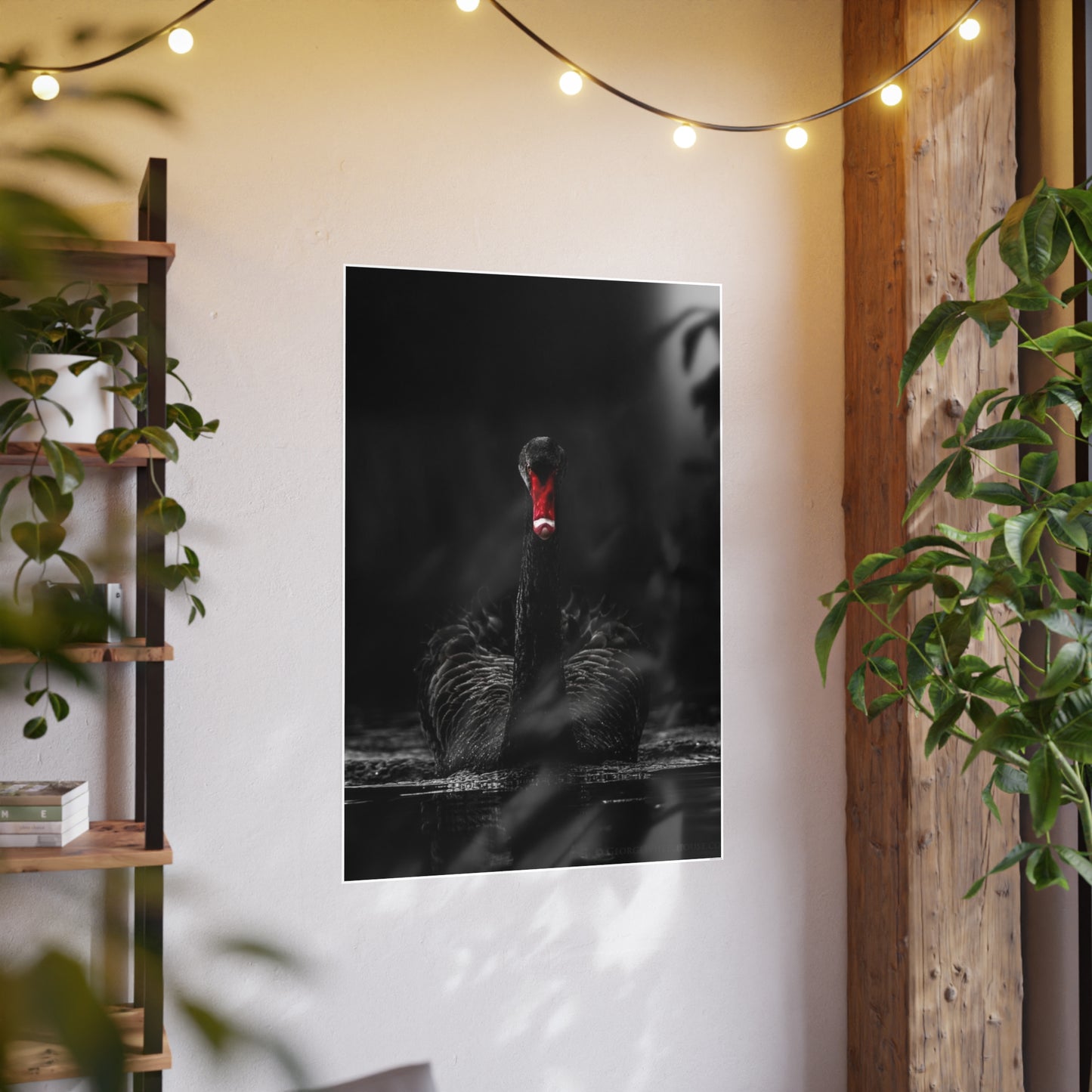 Black Swan Photo Art Paper Posters