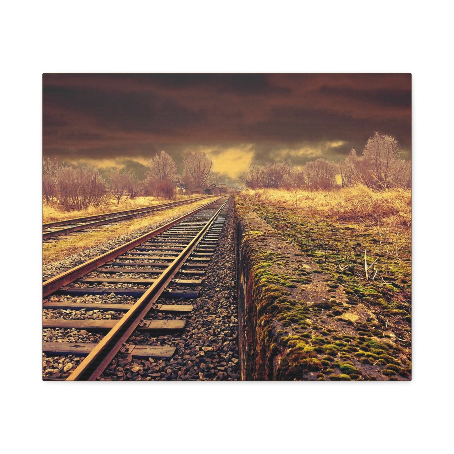 Tracks Matte Canvas, Stretched, 1.25"