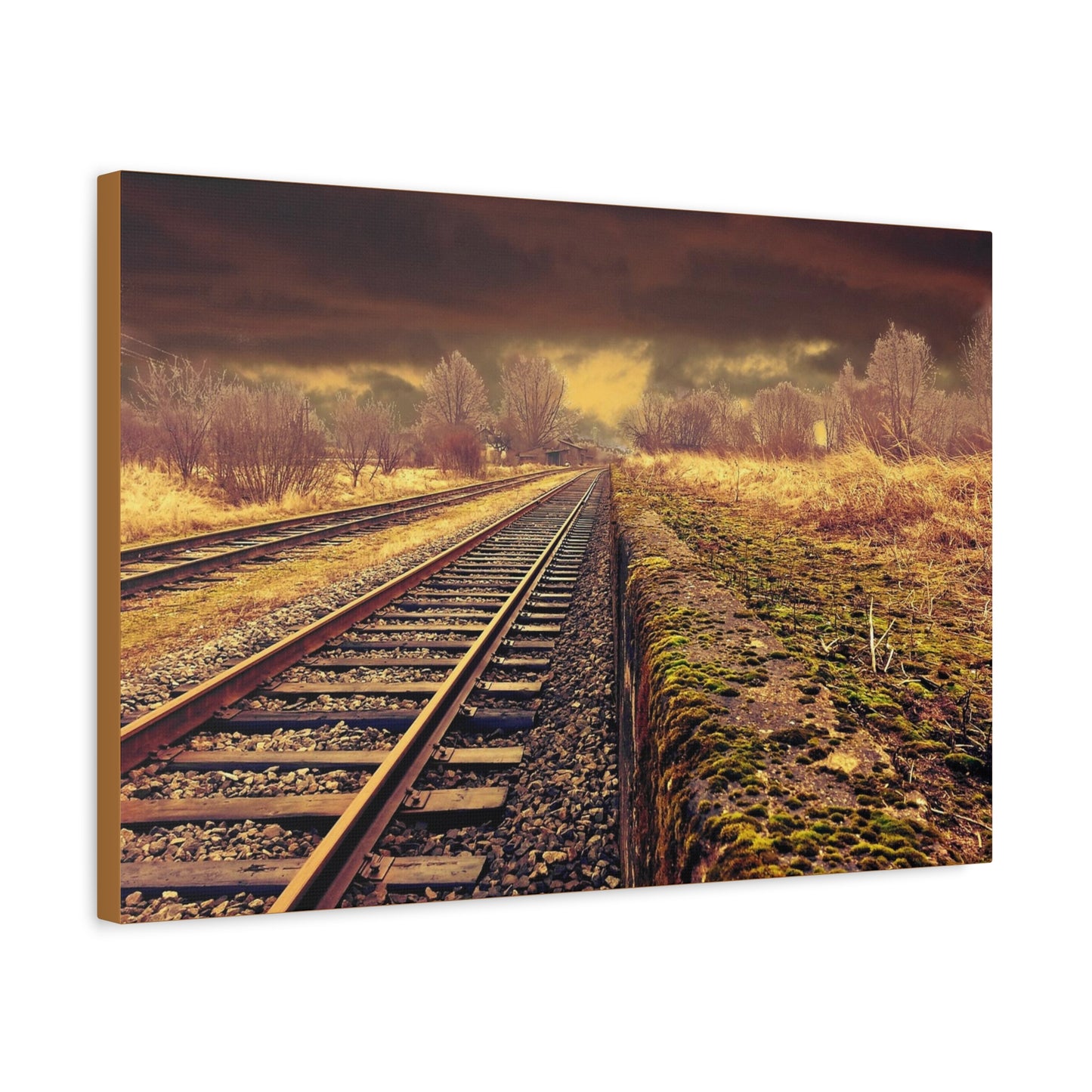 Tracks Matte Canvas, Stretched, 1.25"