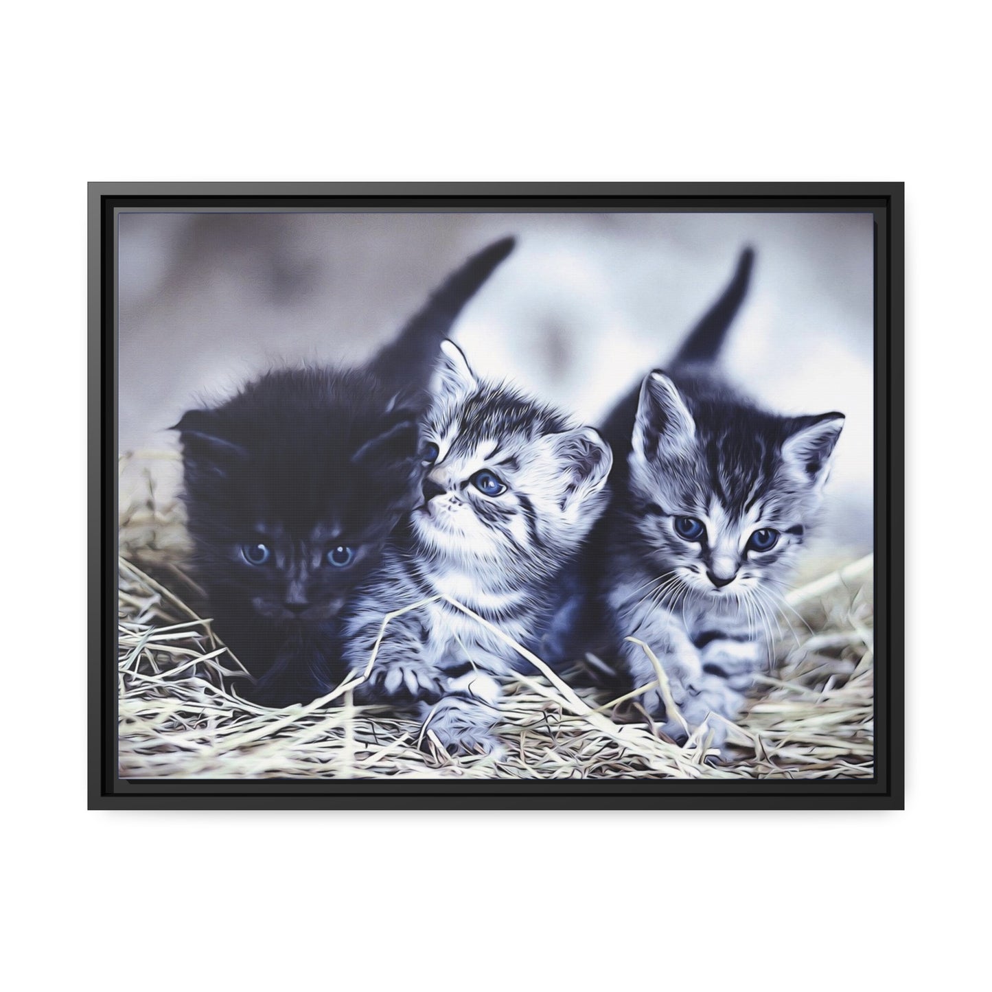 Kitten Matte Canvas, Black Frame