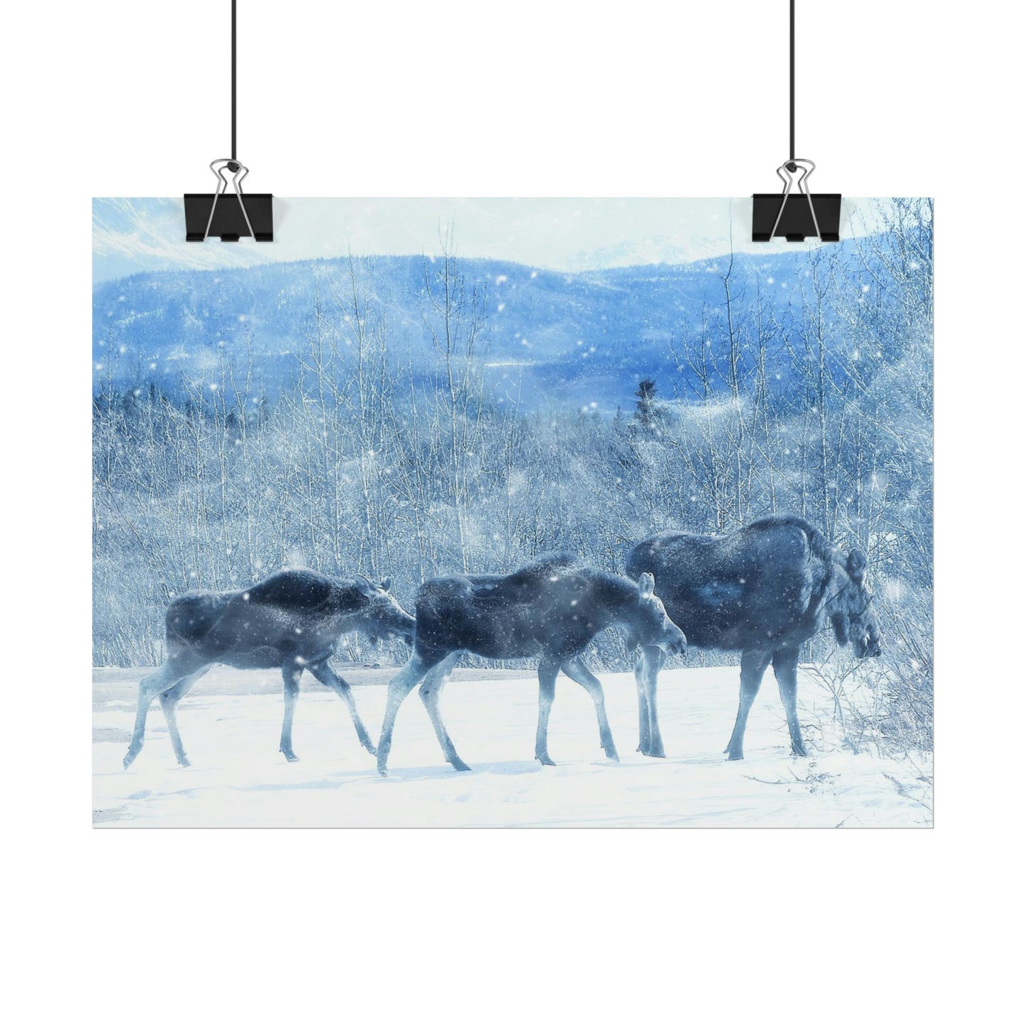 Moose Rolled Posters
