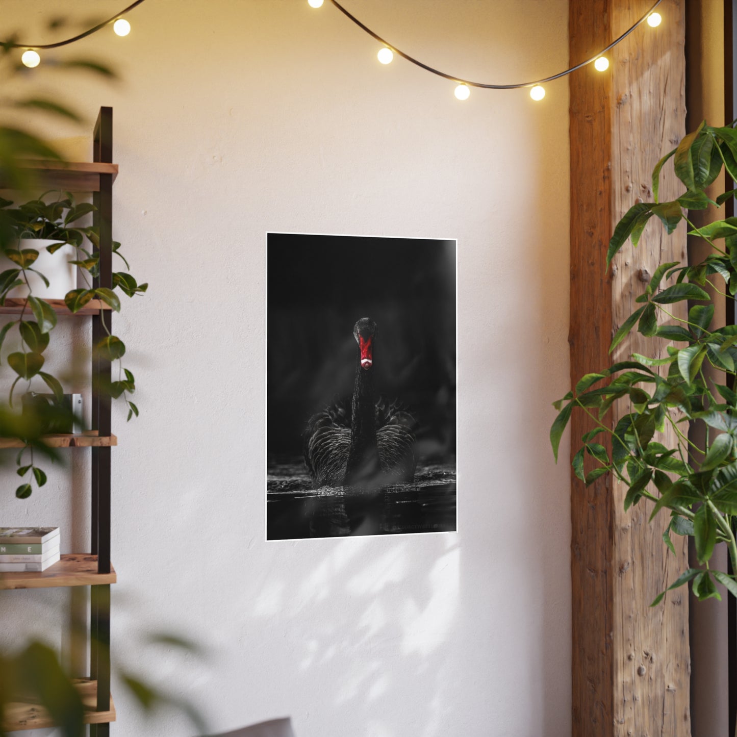 Black Swan Photo Art Paper Posters