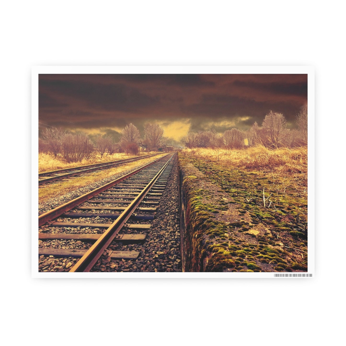 Tracks Photo Art Paper Posters