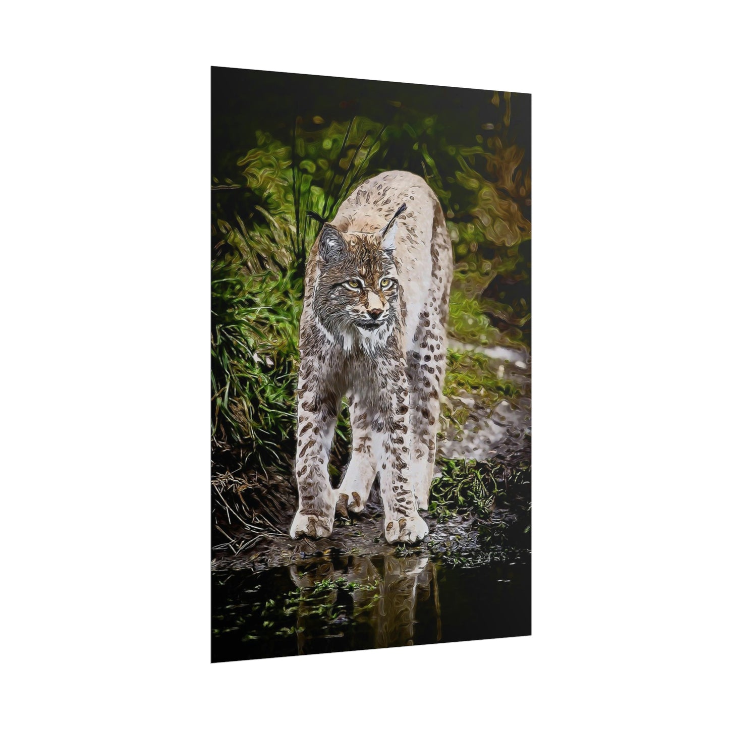 Bobcat Rolled Posters