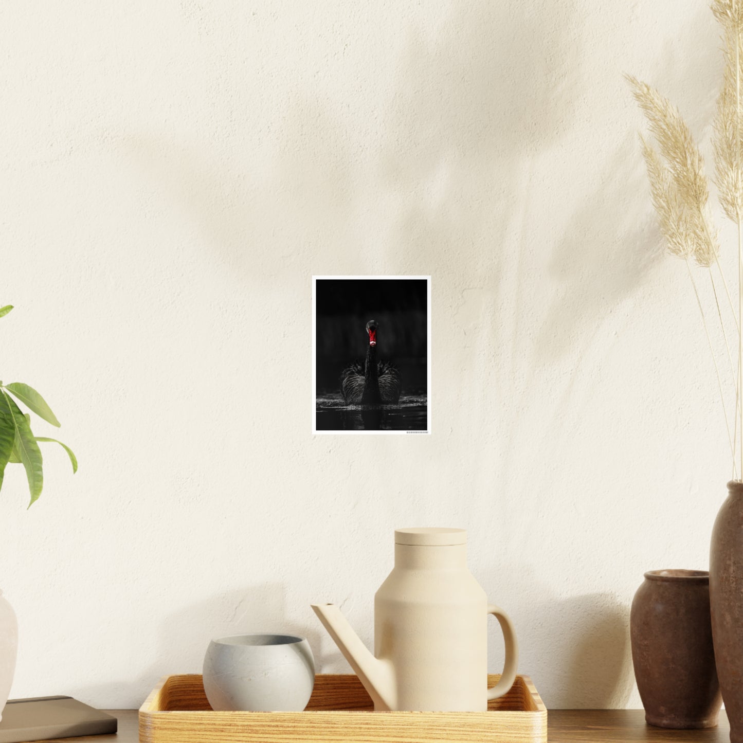 Black Swan Photo Art Paper Posters