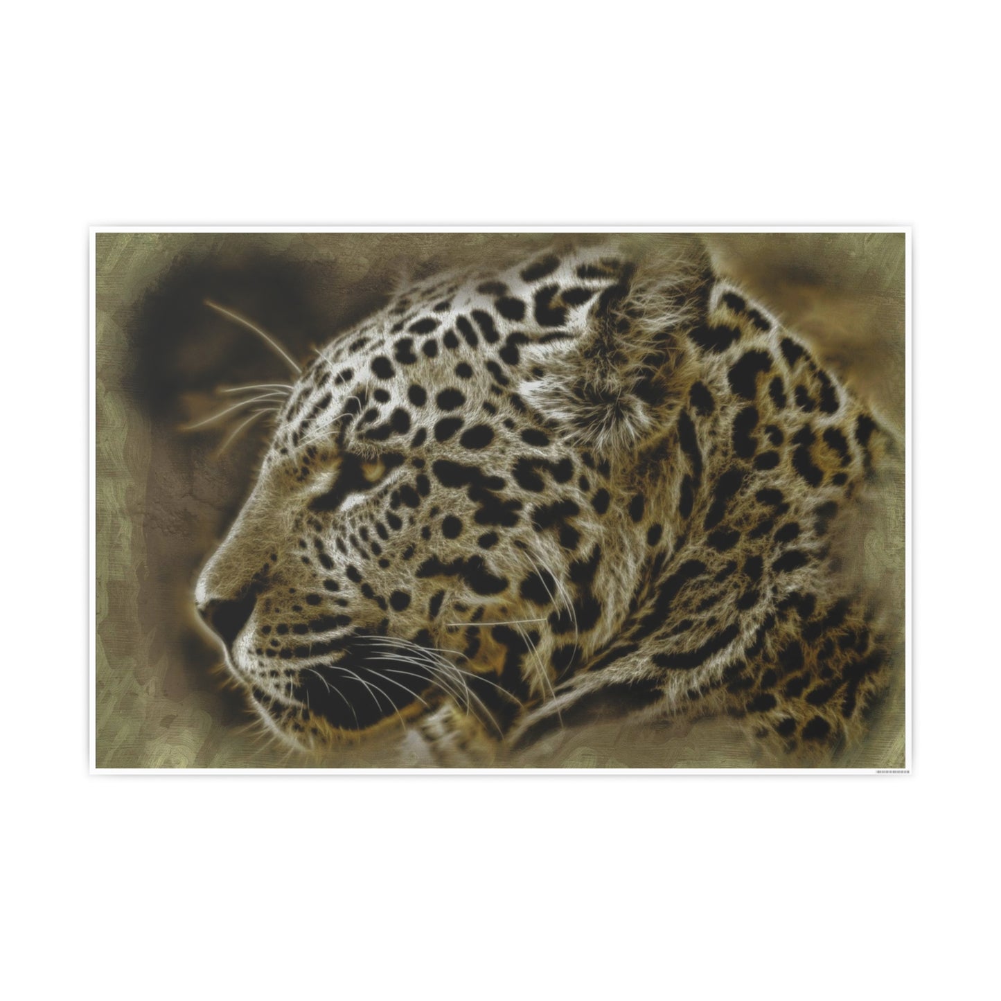 Jaguar Photo Art Paper Posters