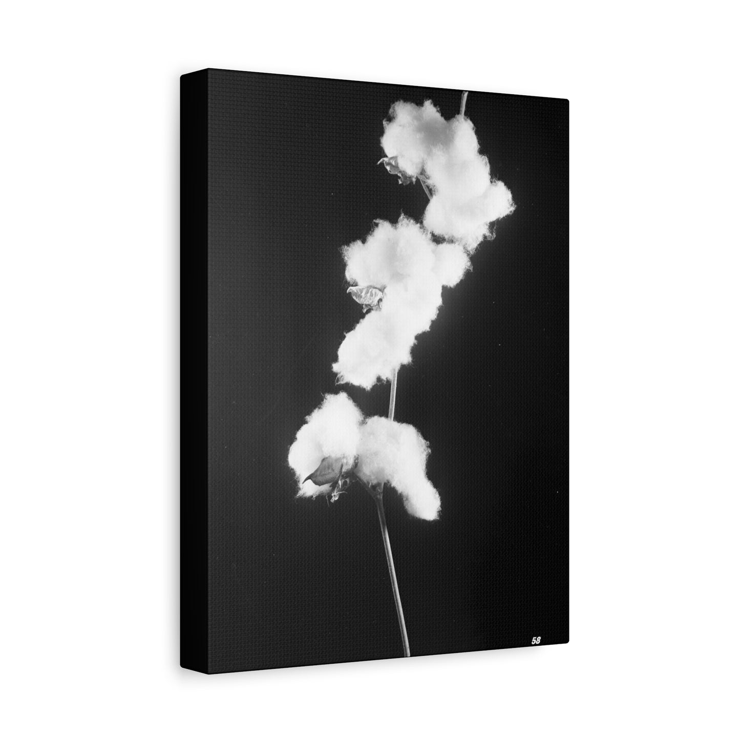 Cotton Matte Canvas, Stretched, 1.25"