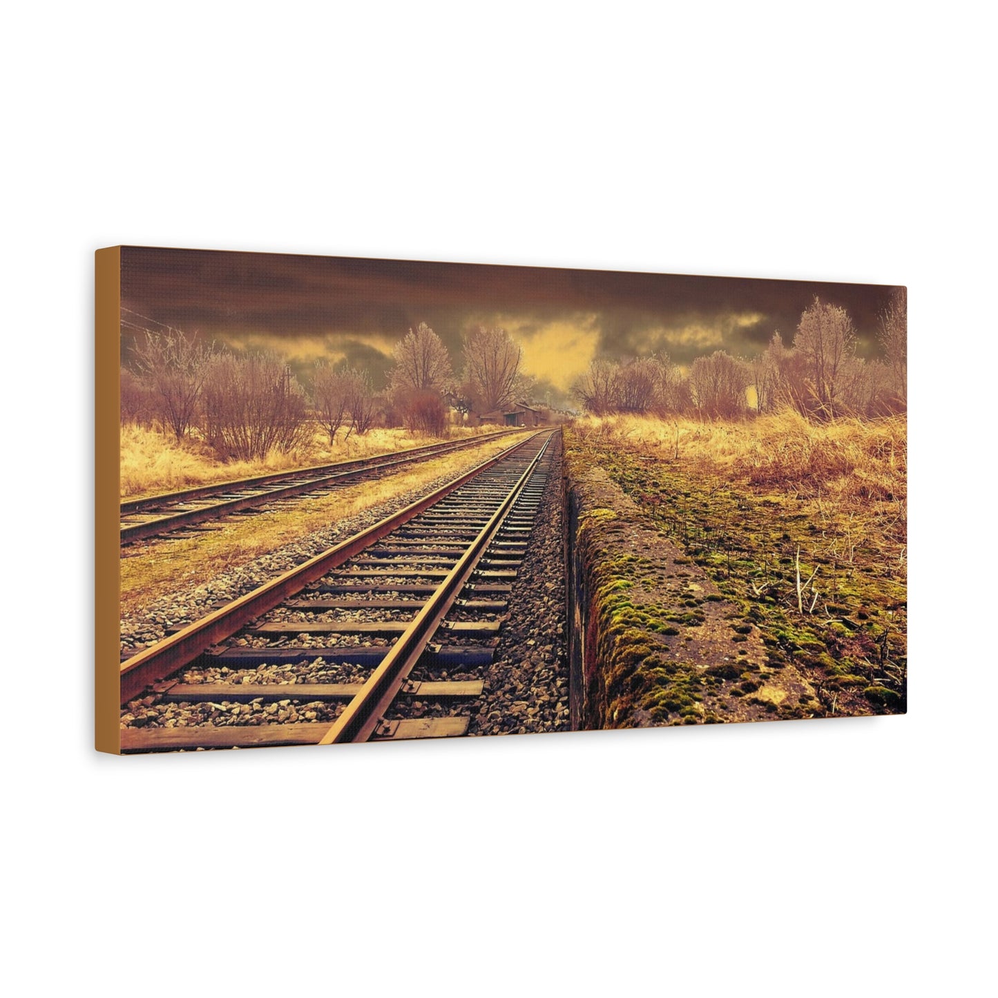Tracks Matte Canvas, Stretched, 1.25"