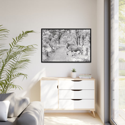 Elk Matte Canvas, Black Frame