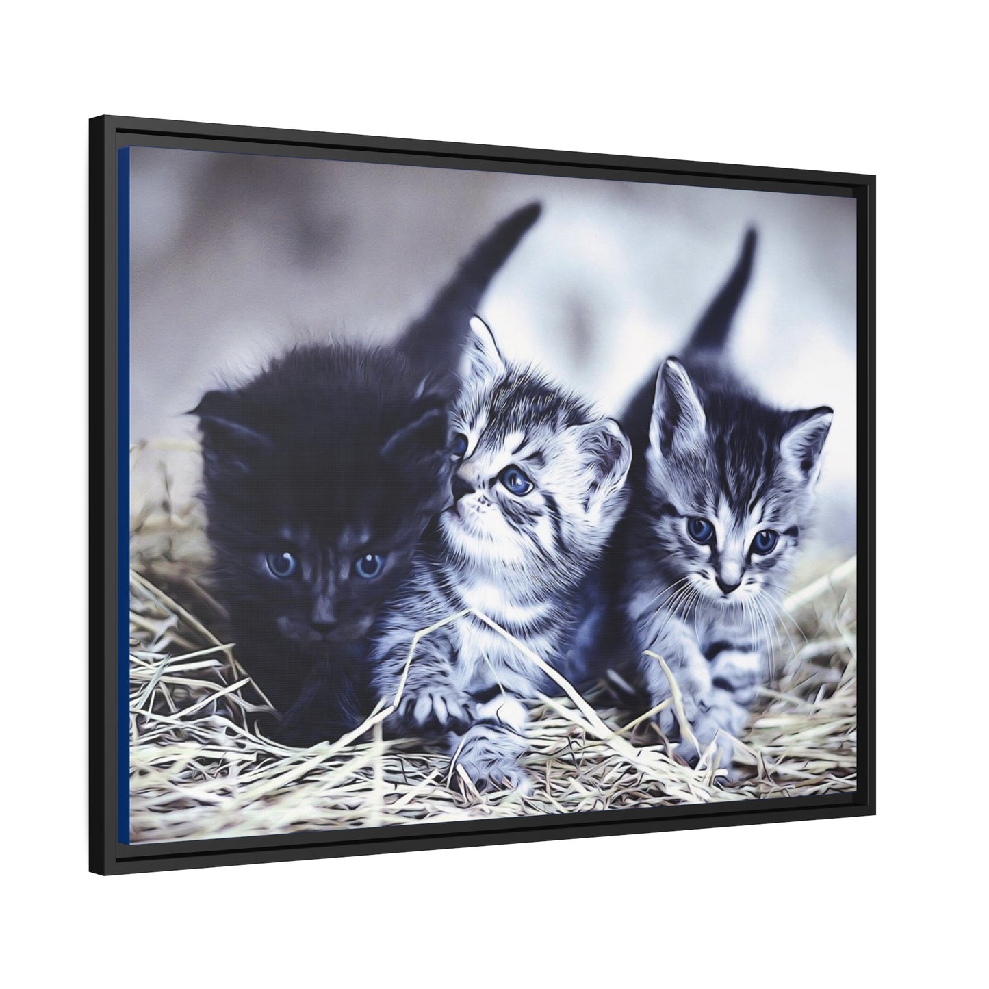 Kitten Matte Canvas, Black Frame