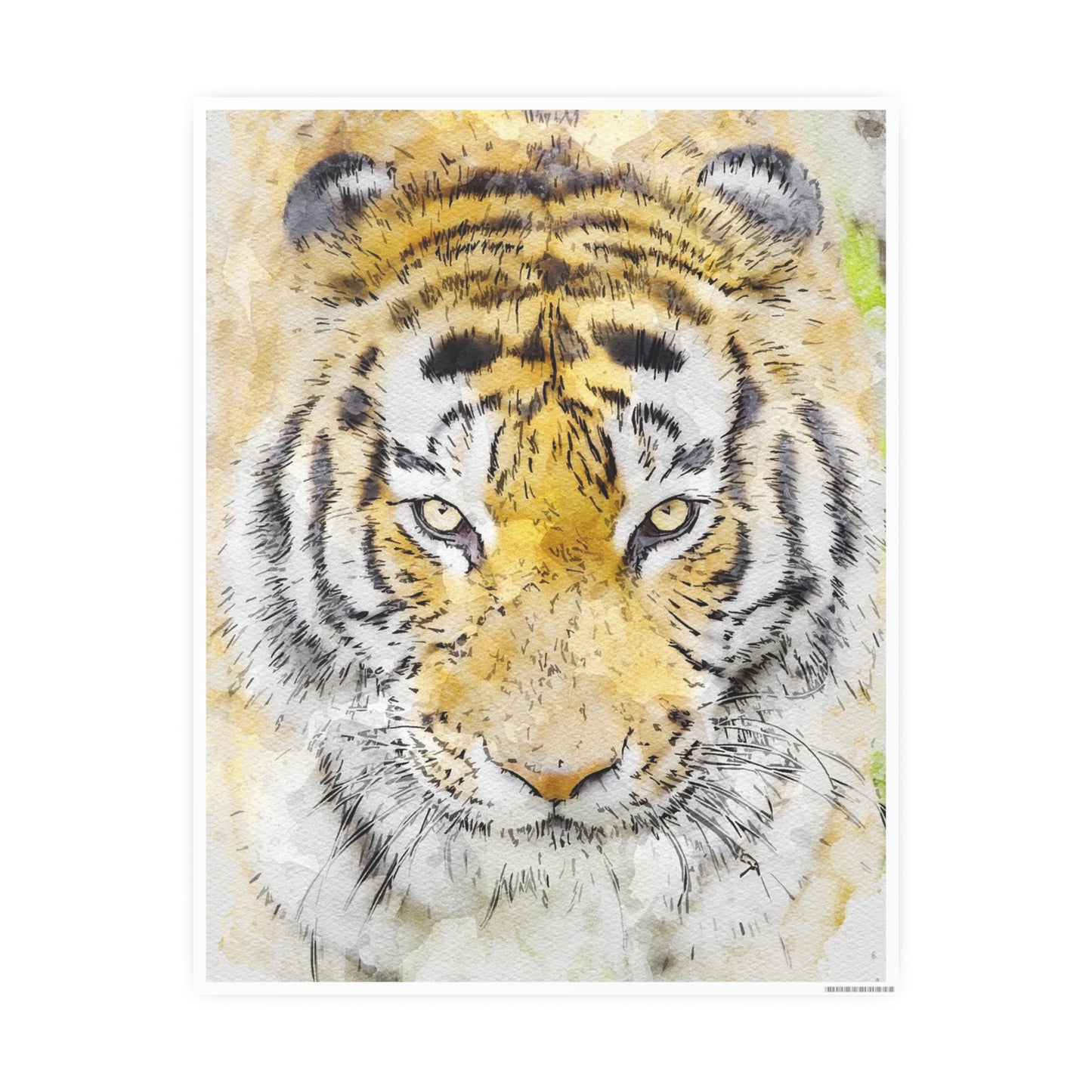 Tiger Photo Art Paper Posters