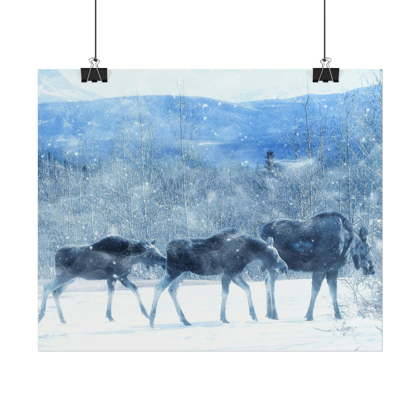 Moose Rolled Posters