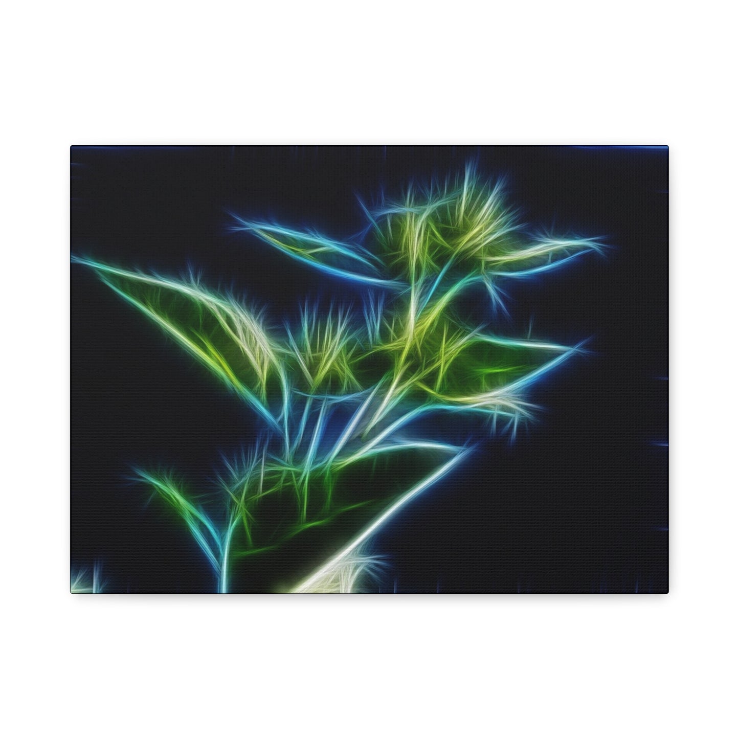 Flowers Matte Canvas, Stretched, 1.25"