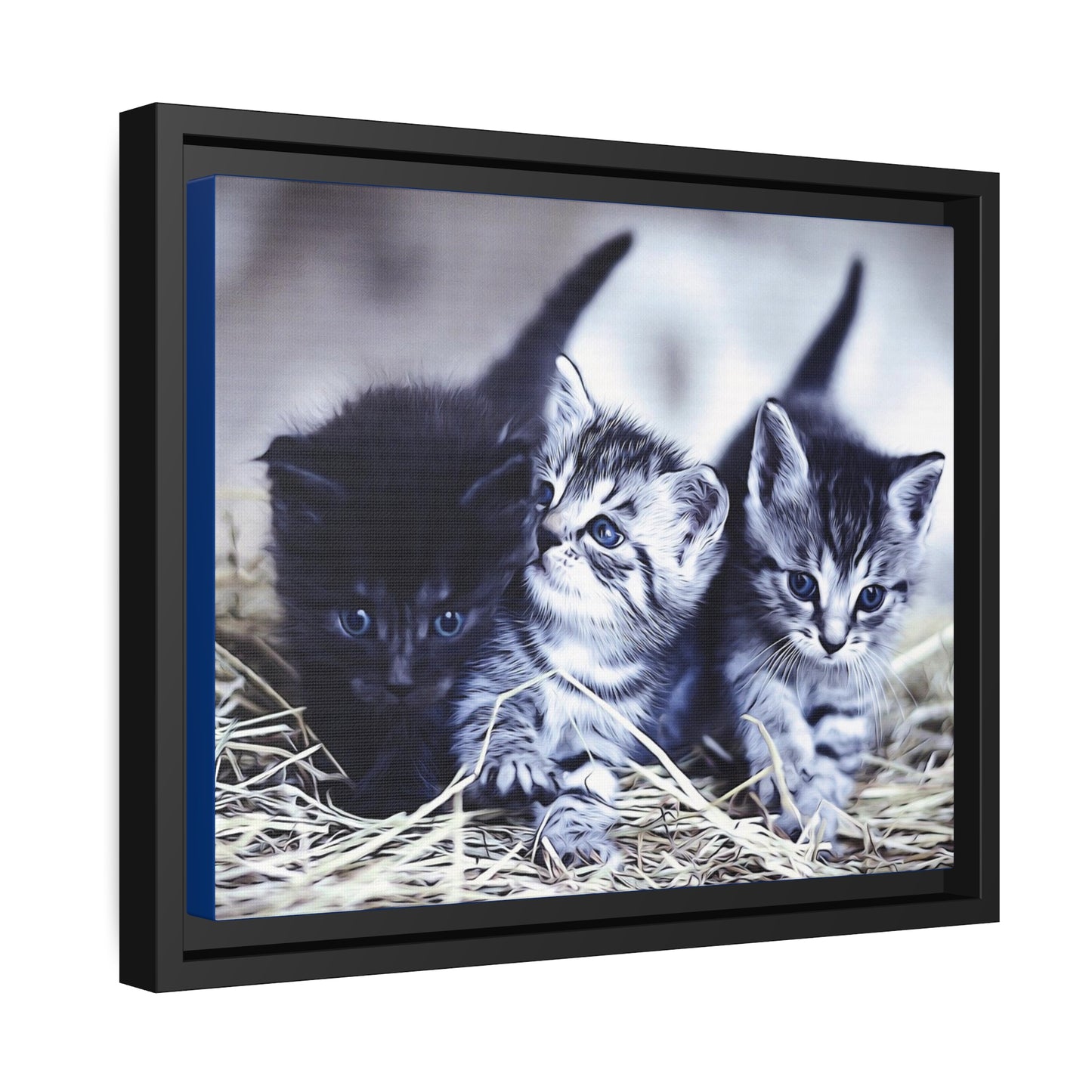 Kitten Matte Canvas, Black Frame