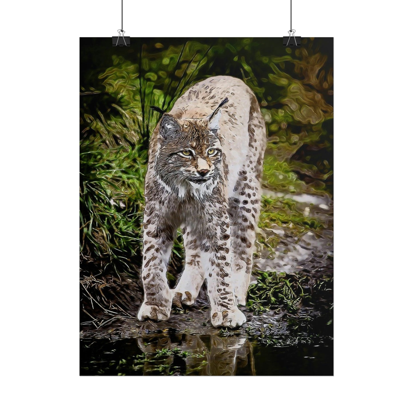 Bobcat Rolled Posters