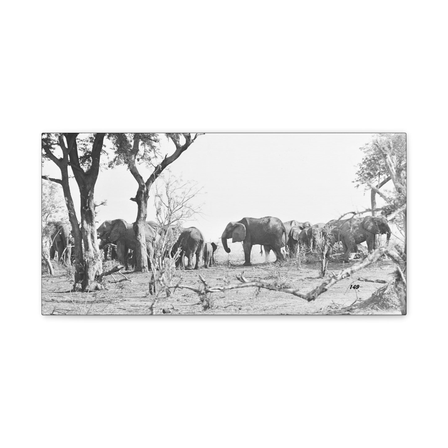 Elephants Matte Canvas, Stretched, 1.25"