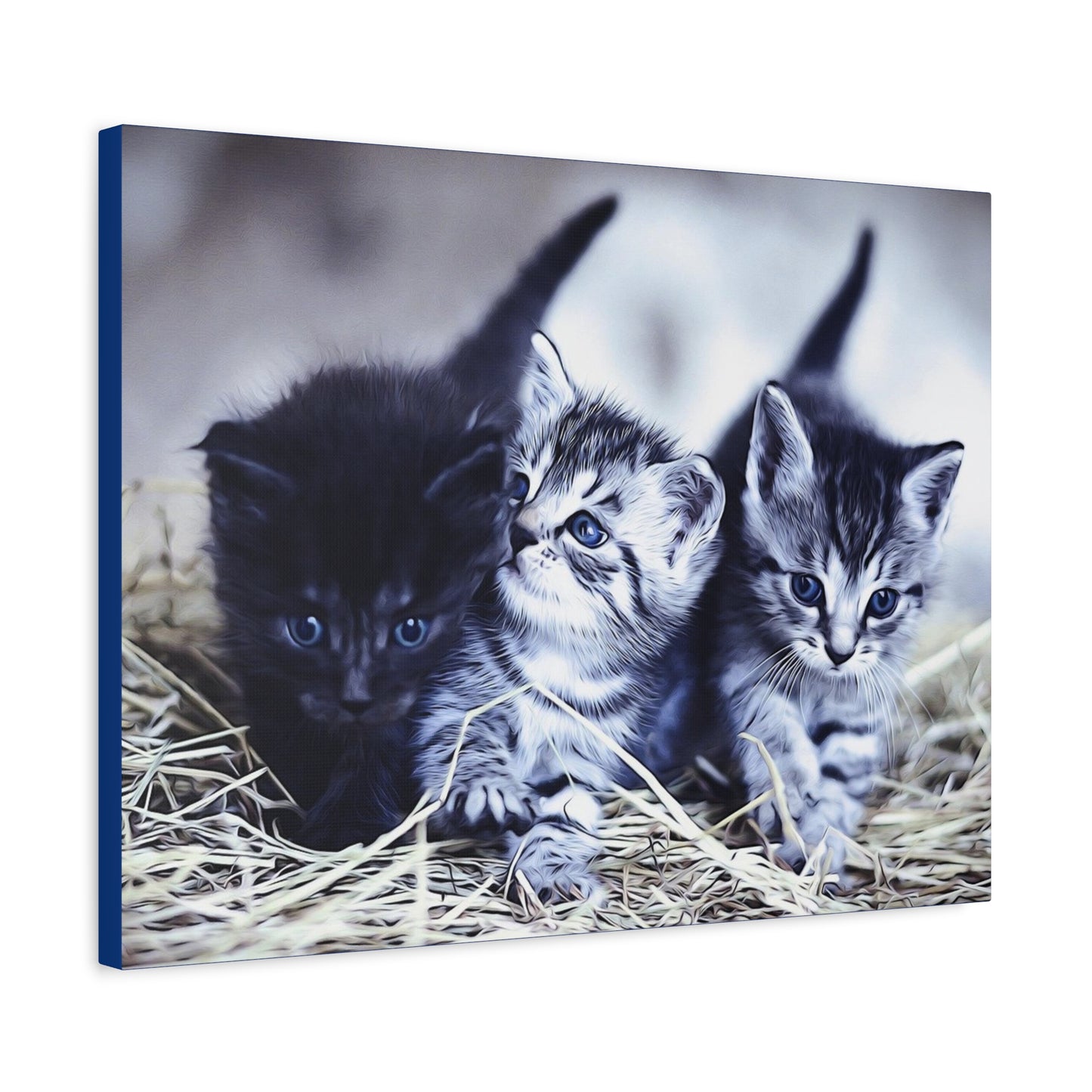 Kitten Matte Canvas, Stretched, 1.25"